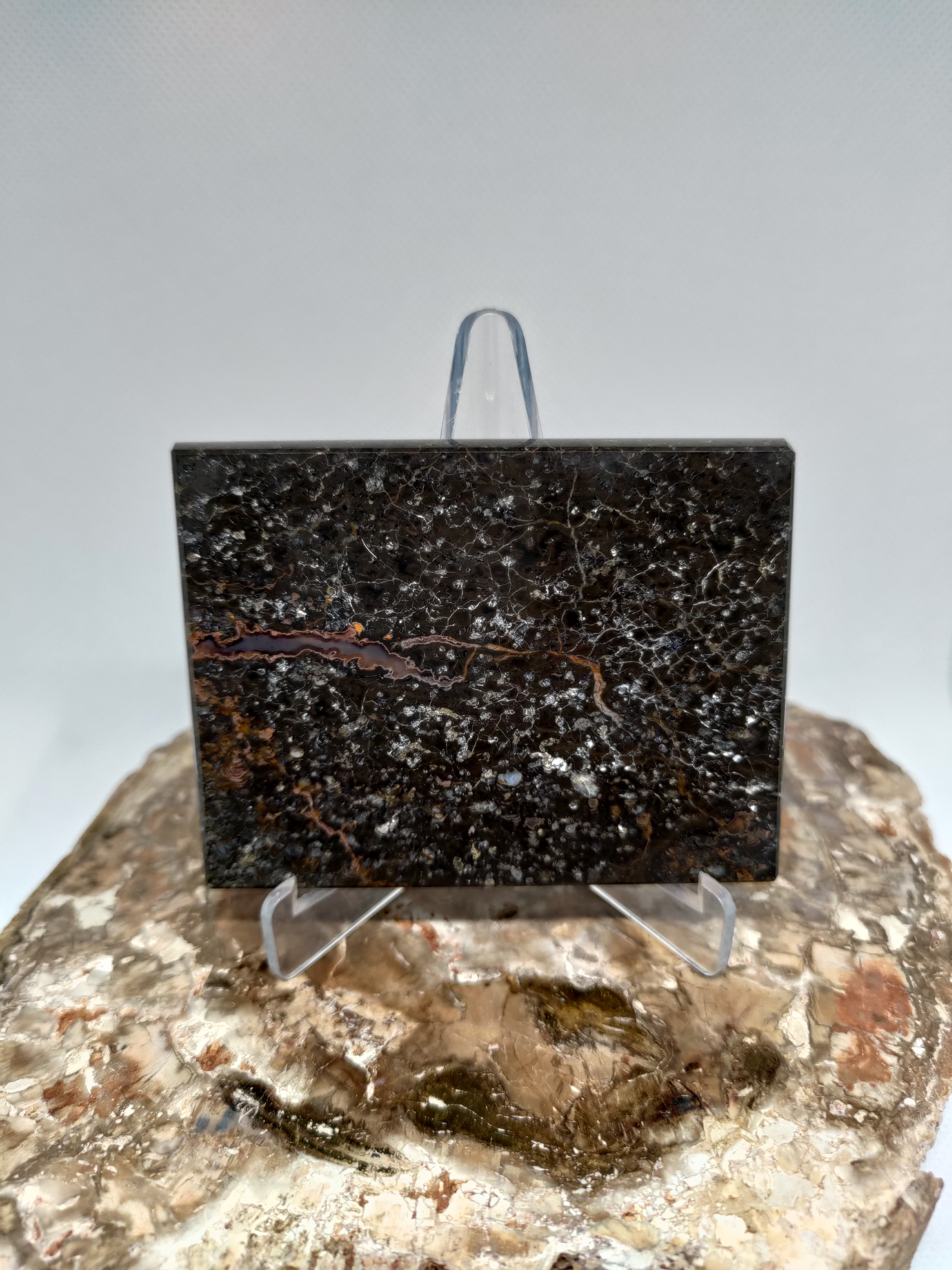 New Zealand Thunder Egg Polished Display Slab (Large) Ref 0056