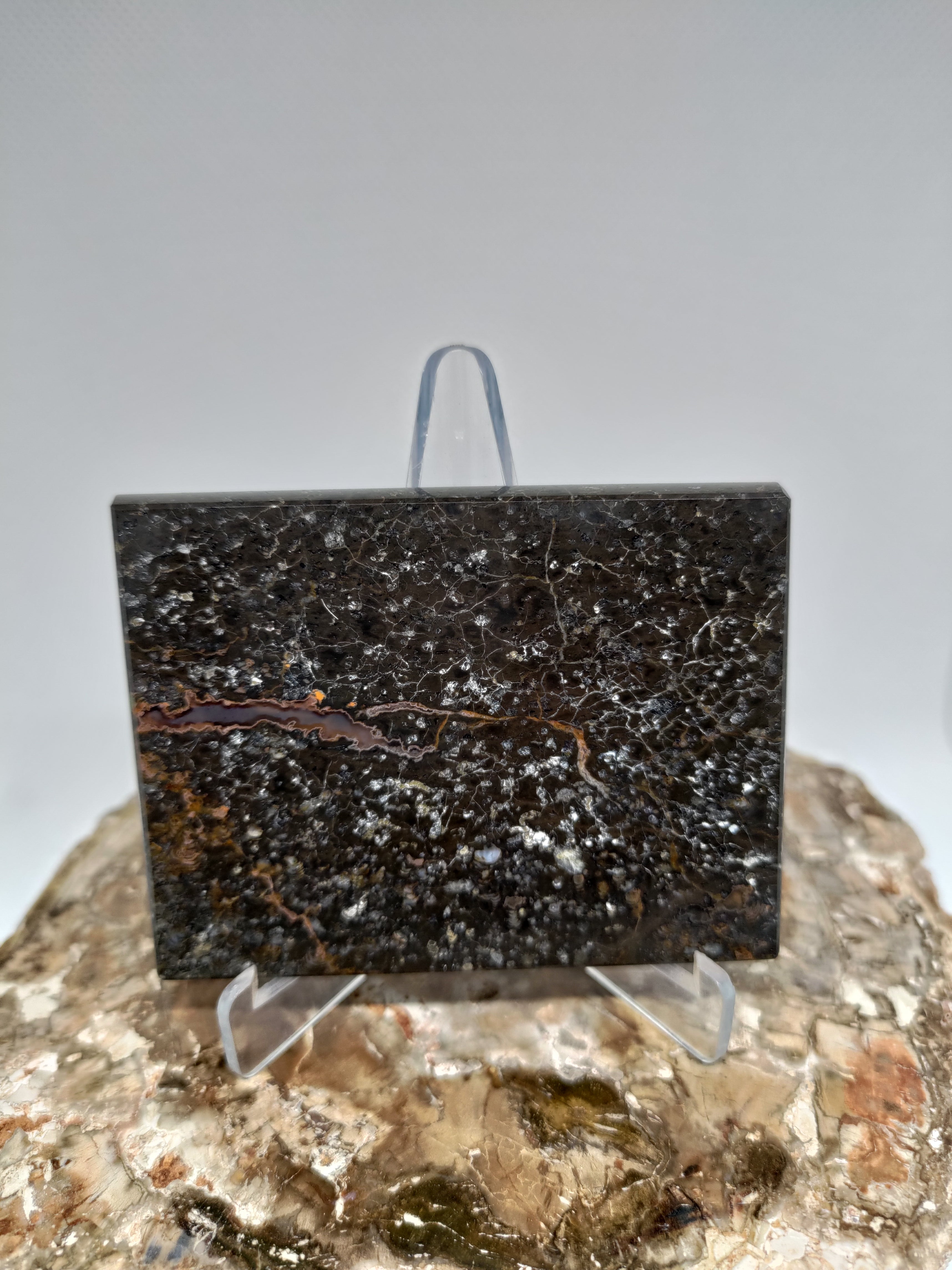 New Zealand Thunder Egg Polished Display Slab (Large) Ref 0056