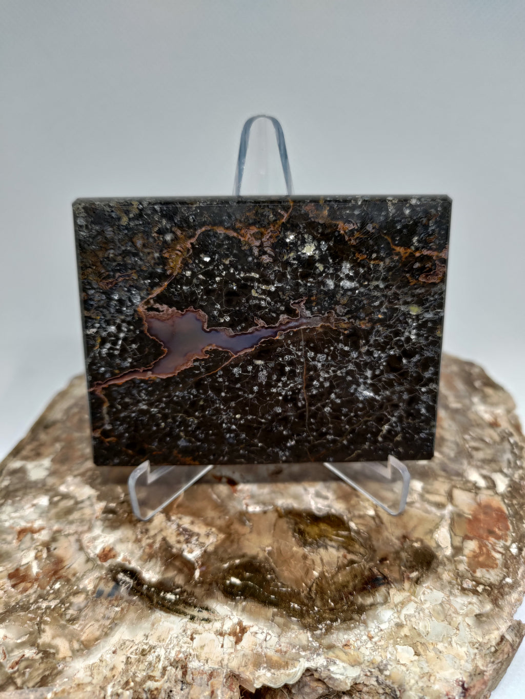 New Zealand Thunder Egg Polished Display Slab (Large) Ref 0056