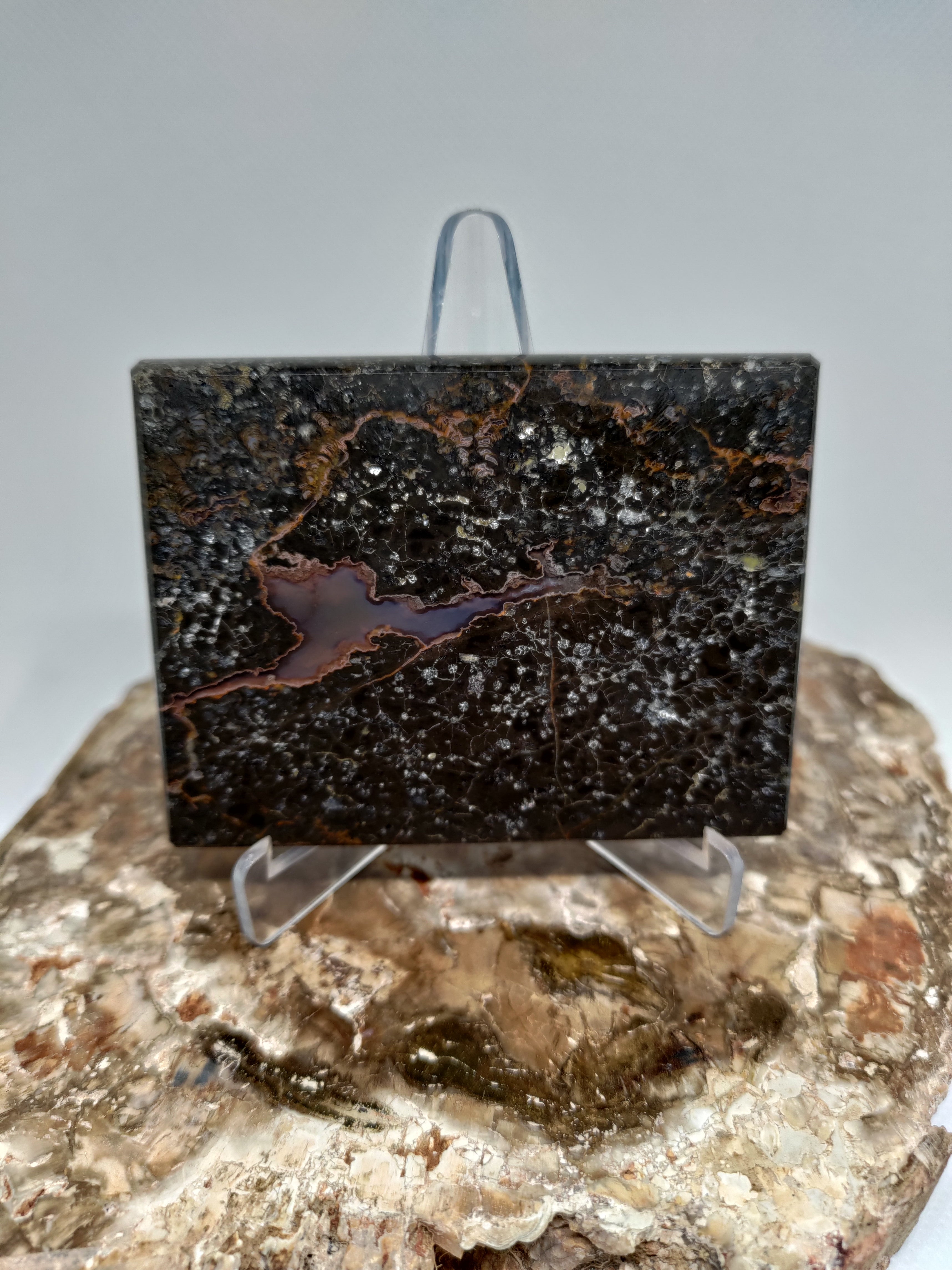 New Zealand Thunder Egg Polished Display Slab (Large) Ref 0056