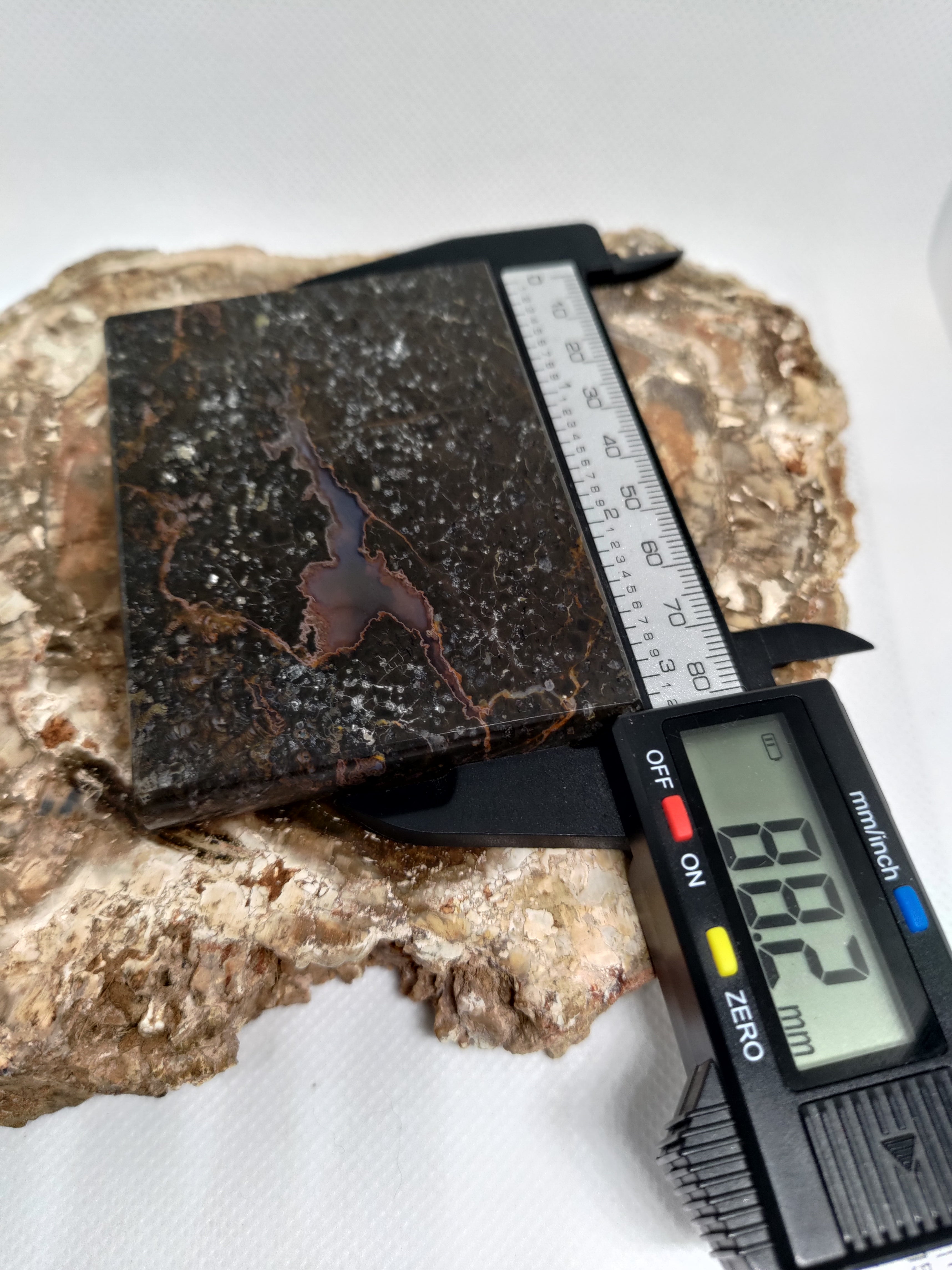 New Zealand Thunder Egg Polished Display Slab (Large) Ref 0056