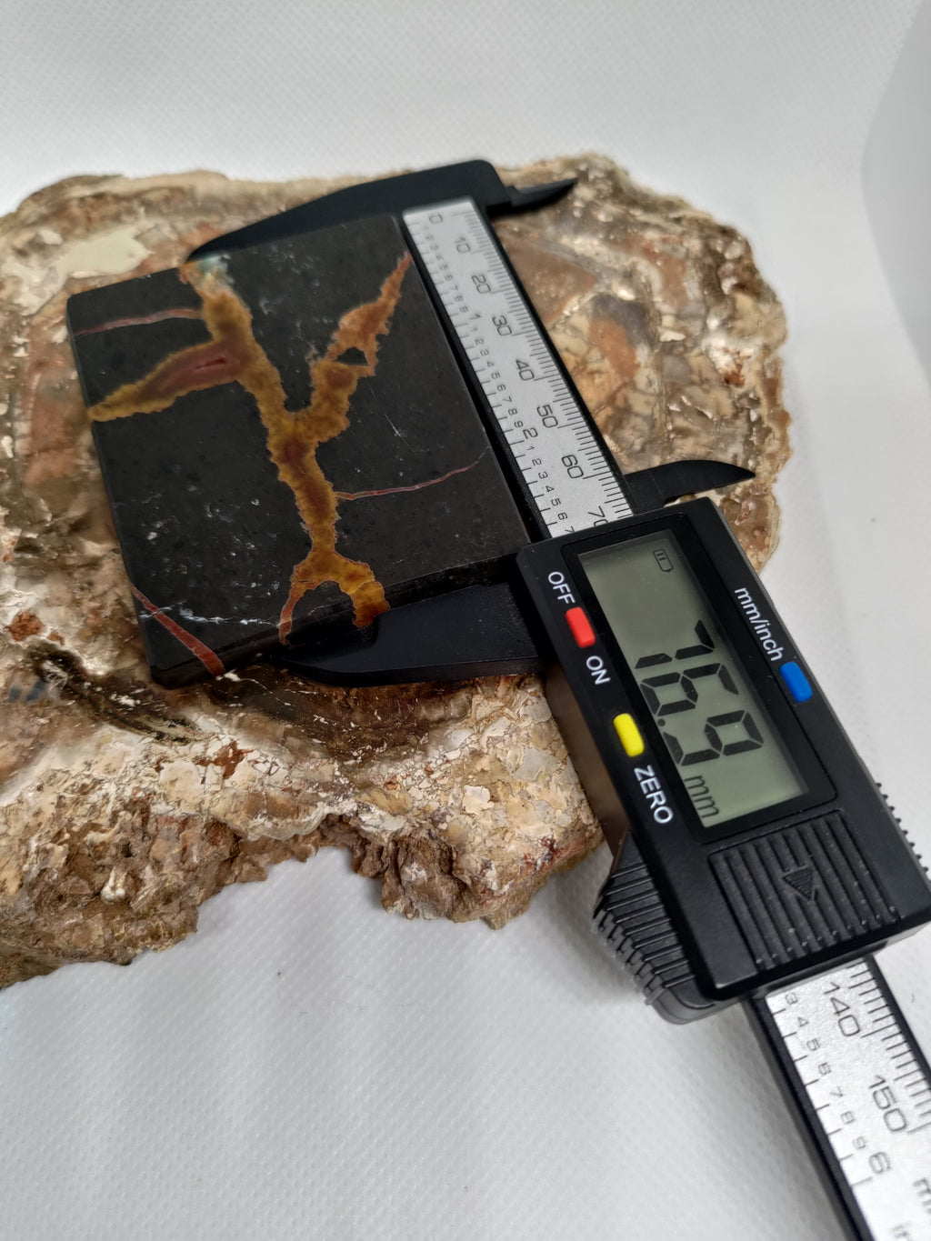 New Zealand Thunder Egg Polished Display Slab (small) Ref 0057