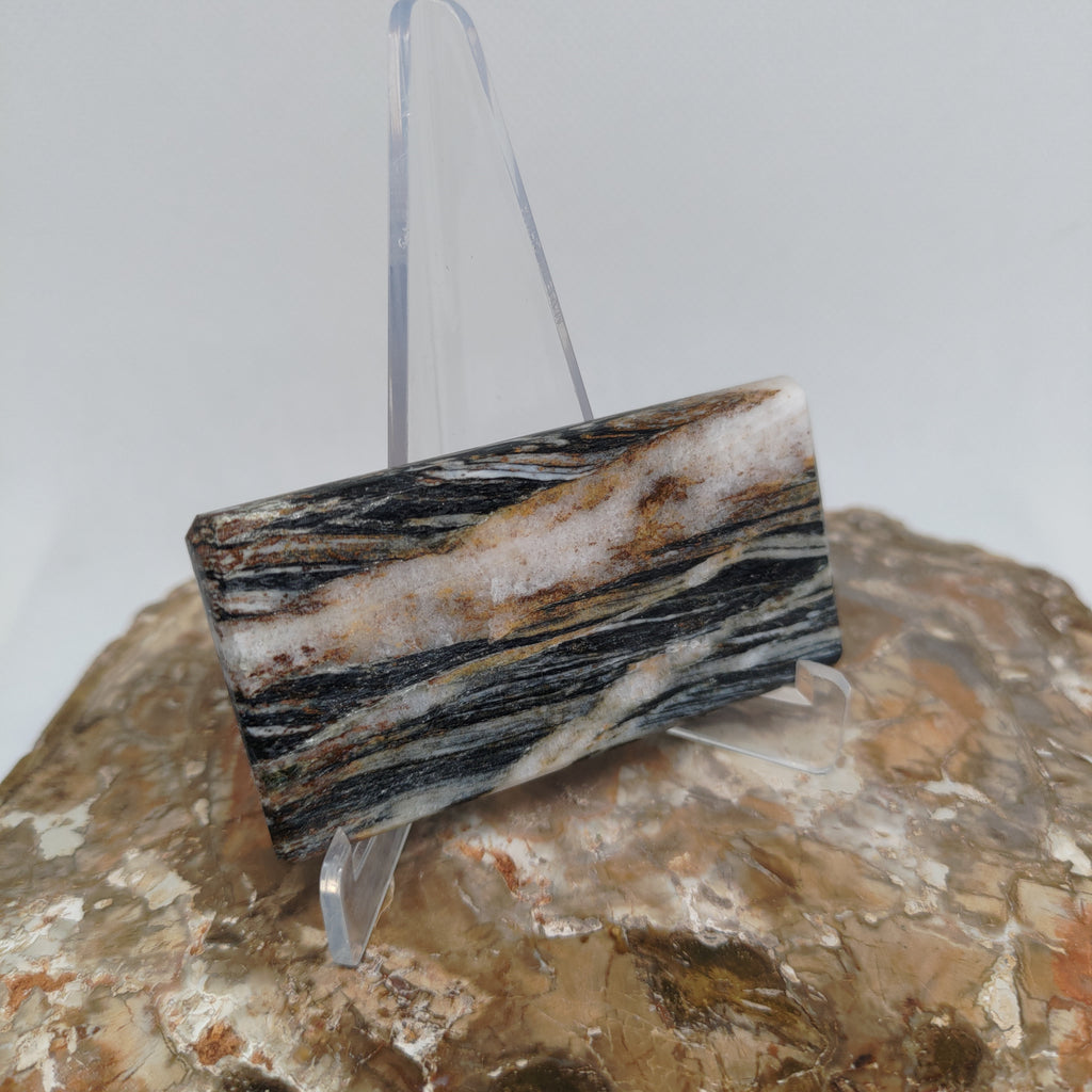 Hand Made New Zealand Schist With Quartz Inclusion Display Medium Slab Ref: 0116