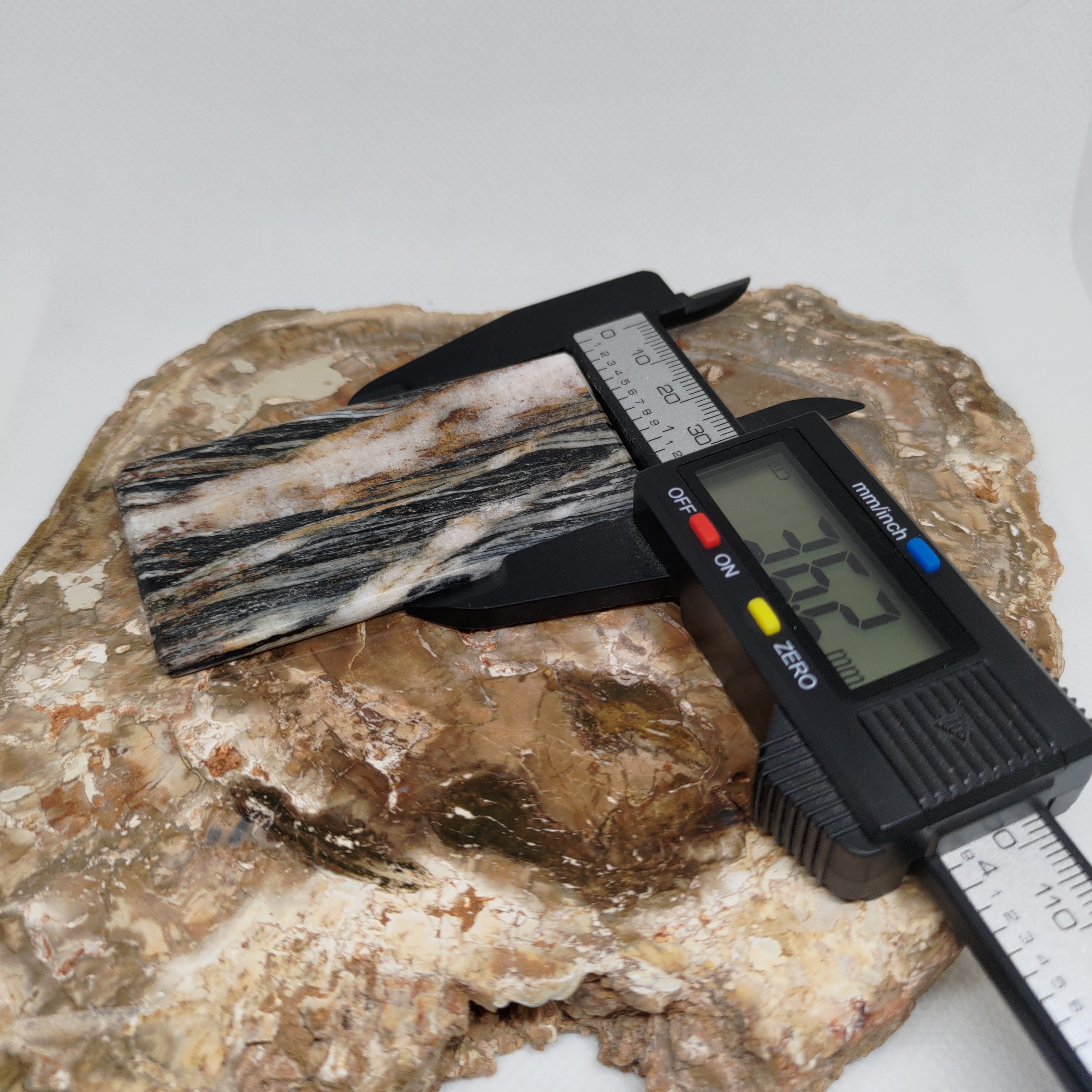 Hand Made New Zealand Schist With Quartz Inclusion Display Medium Slab Ref: 0116