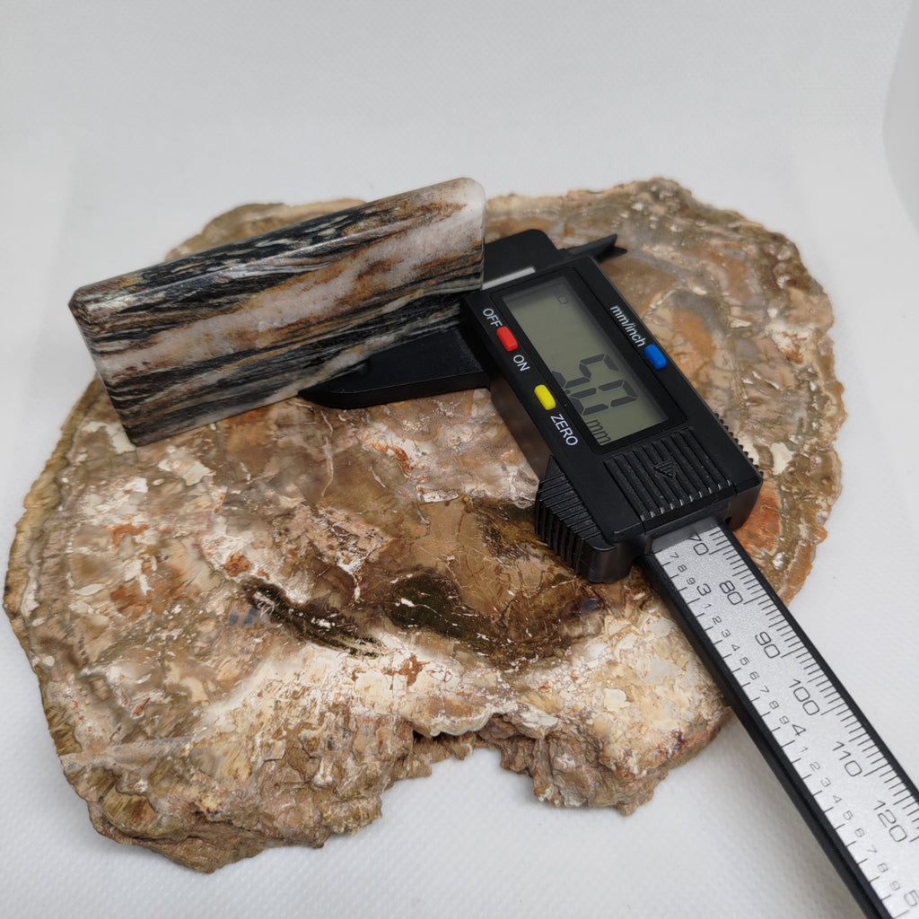 Hand Made New Zealand Schist With Quartz Inclusion Display Medium Slab Ref: 0116