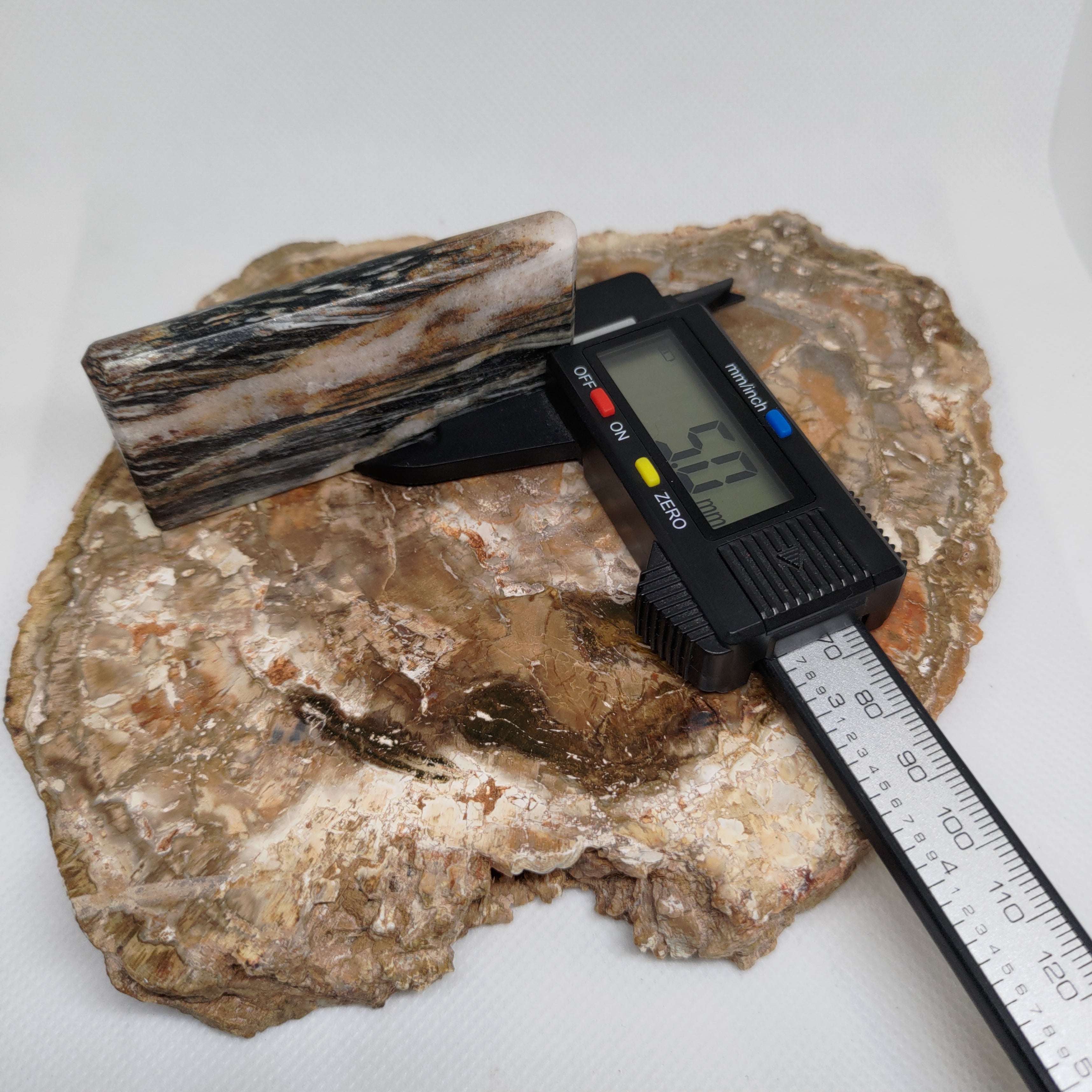 Hand Made New Zealand Schist With Quartz Inclusion Display Medium Slab Ref: 0116