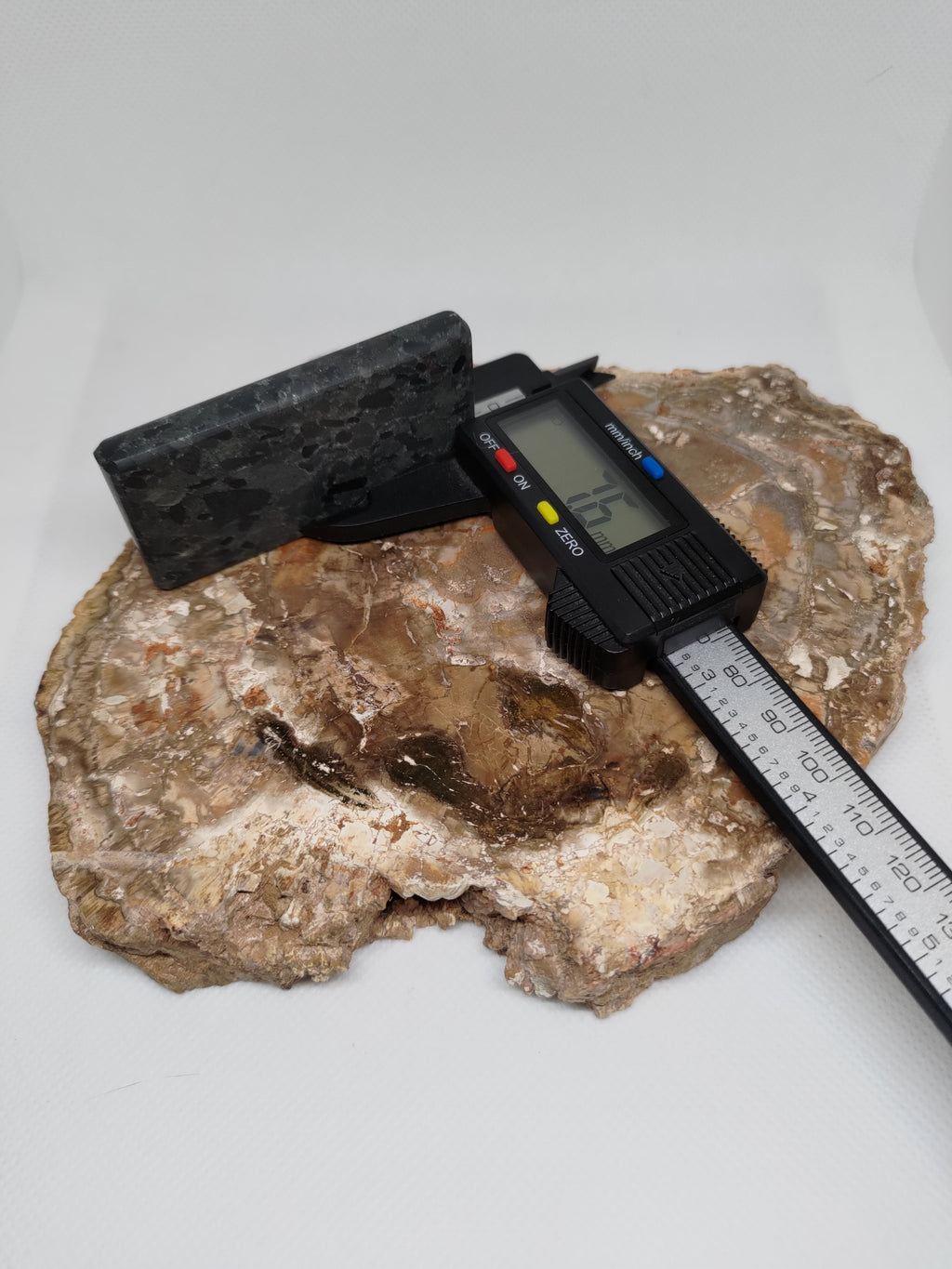Hand Made New Zealand Conglomerate Stone Display Slab (Medium) Ref: 0133