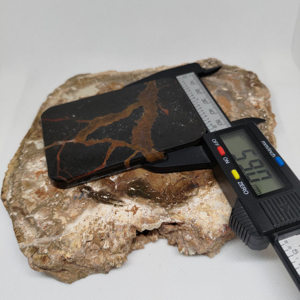 New Zealand Thunder Egg Polished Display Slab (Large) Ref 0142