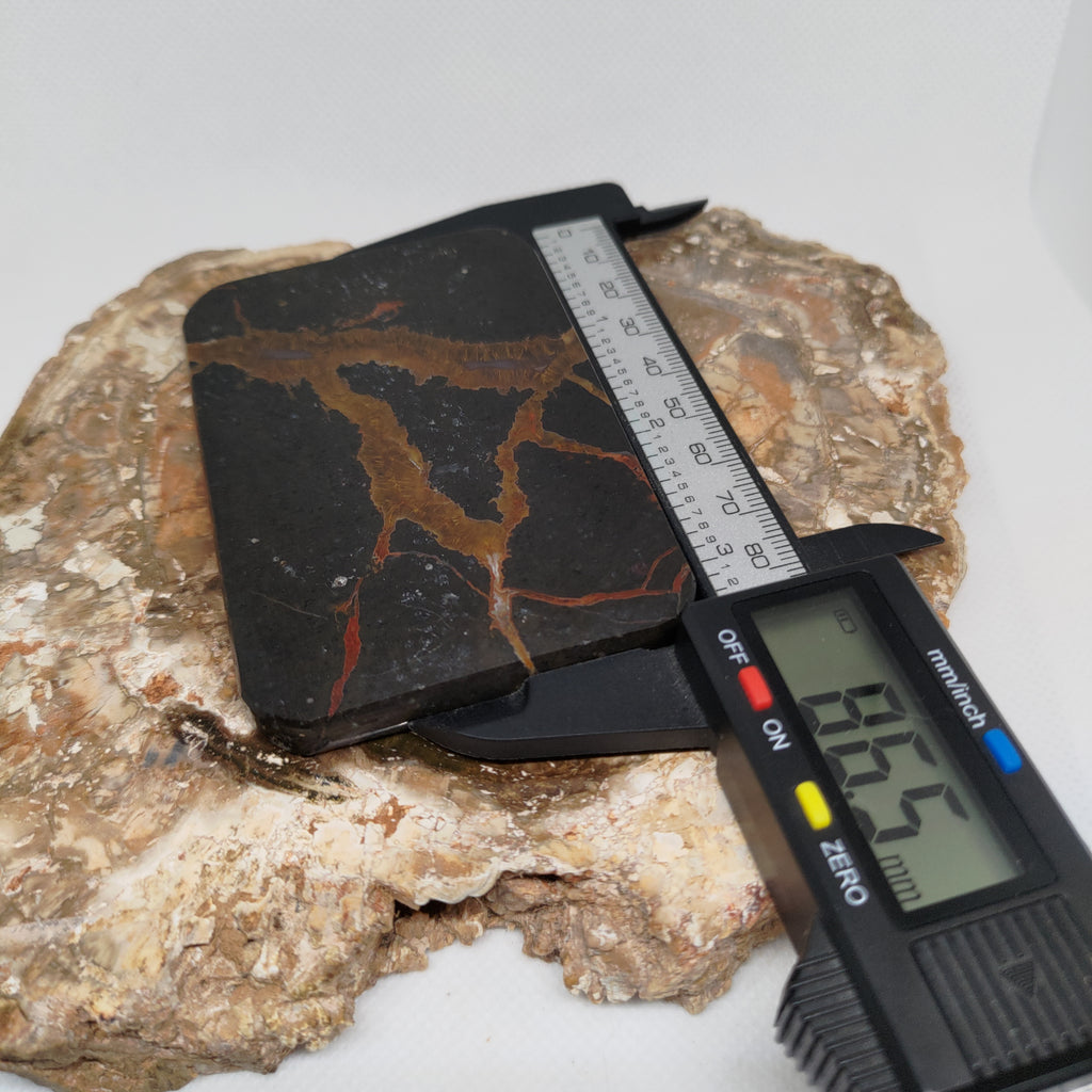 New Zealand Thunder Egg Polished Display Slab (Large) Ref 0142