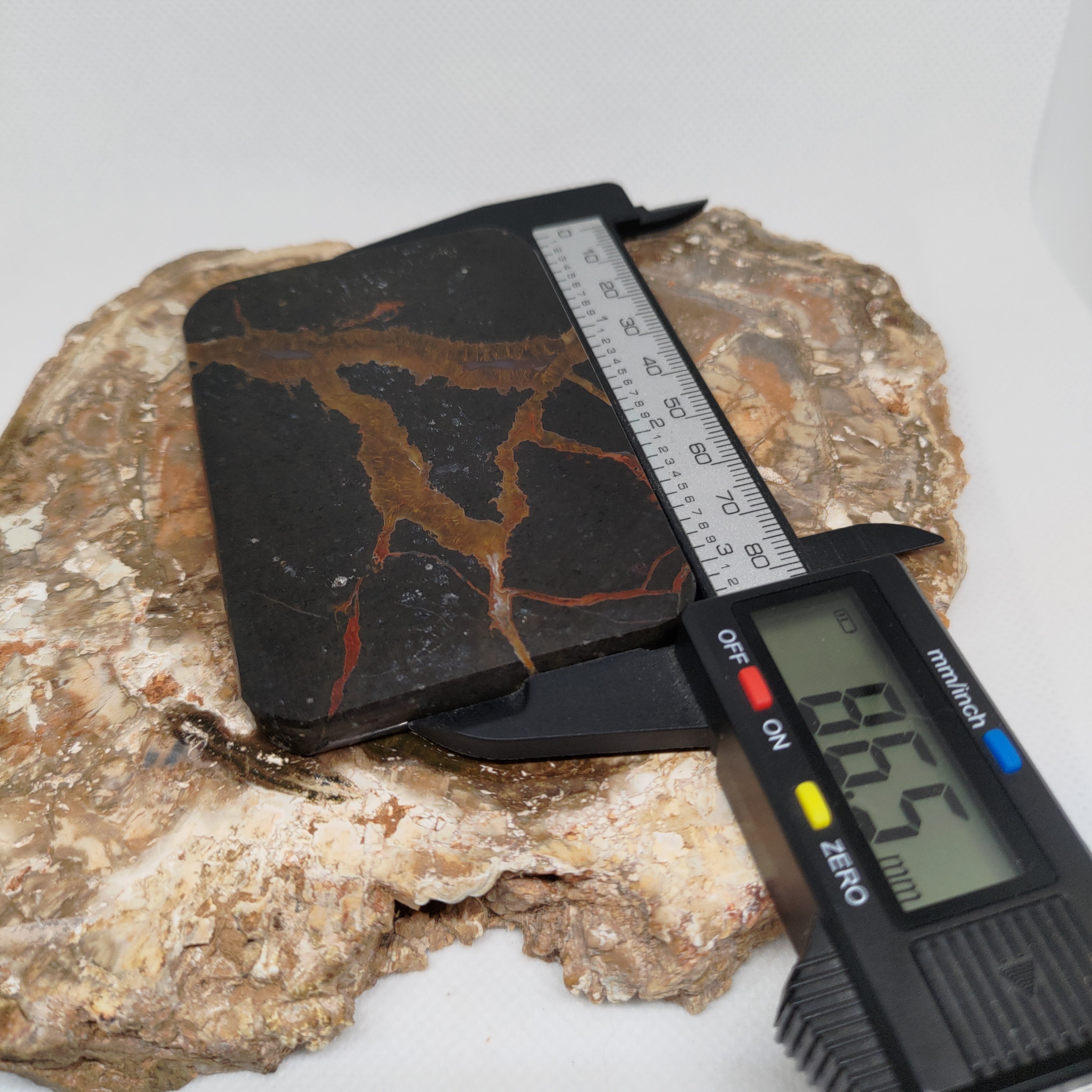 New Zealand Thunder Egg Polished Display Slab (Large) Ref 0142