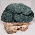 New Zealand Pounamu Display Slab (XL) Ref 0144