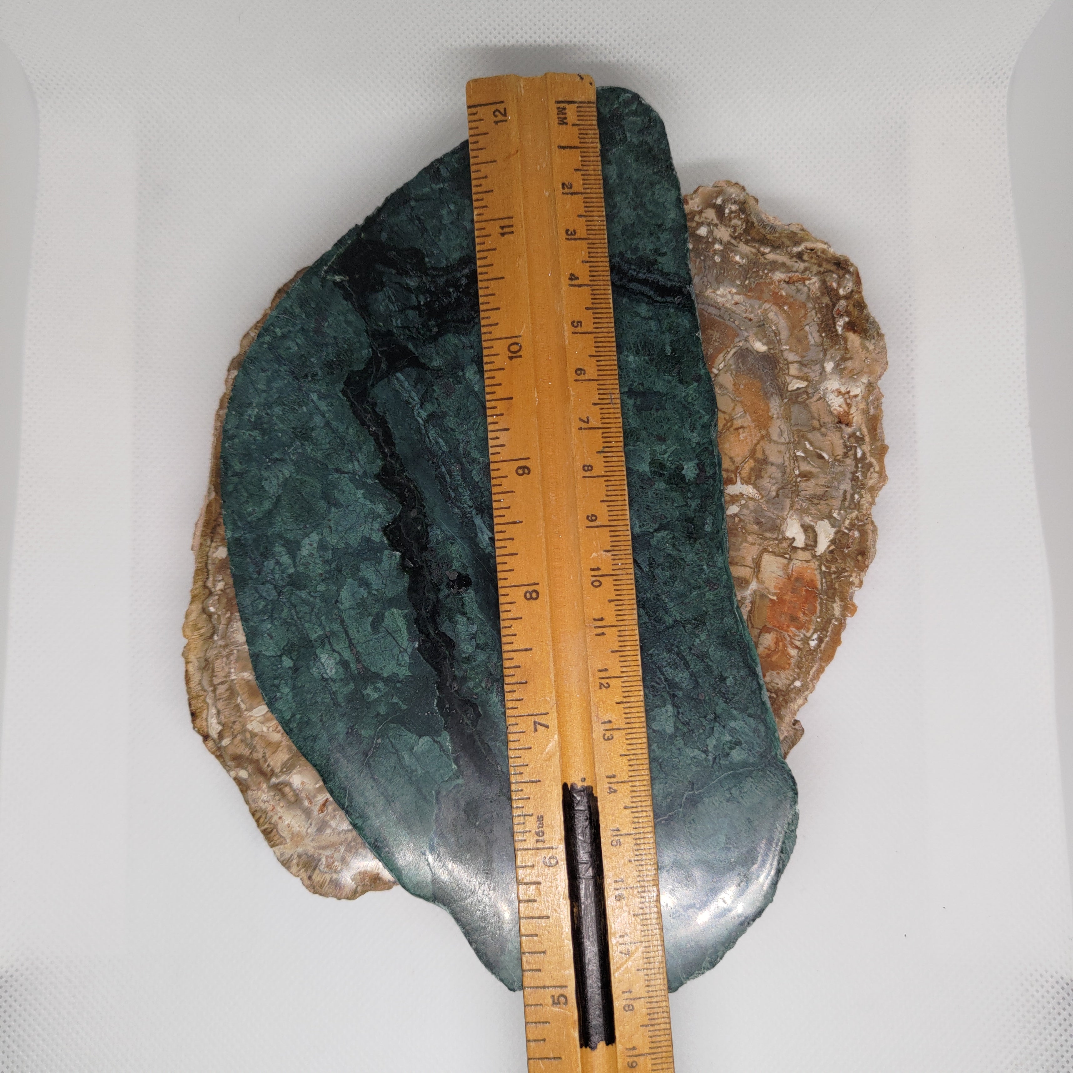 New Zealand Pounamu Display Slab (XL) Ref 0144
