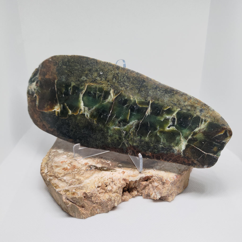 New Zealand Pounamu (Sandwich Jade) Display Slab (XL) Ref 0145