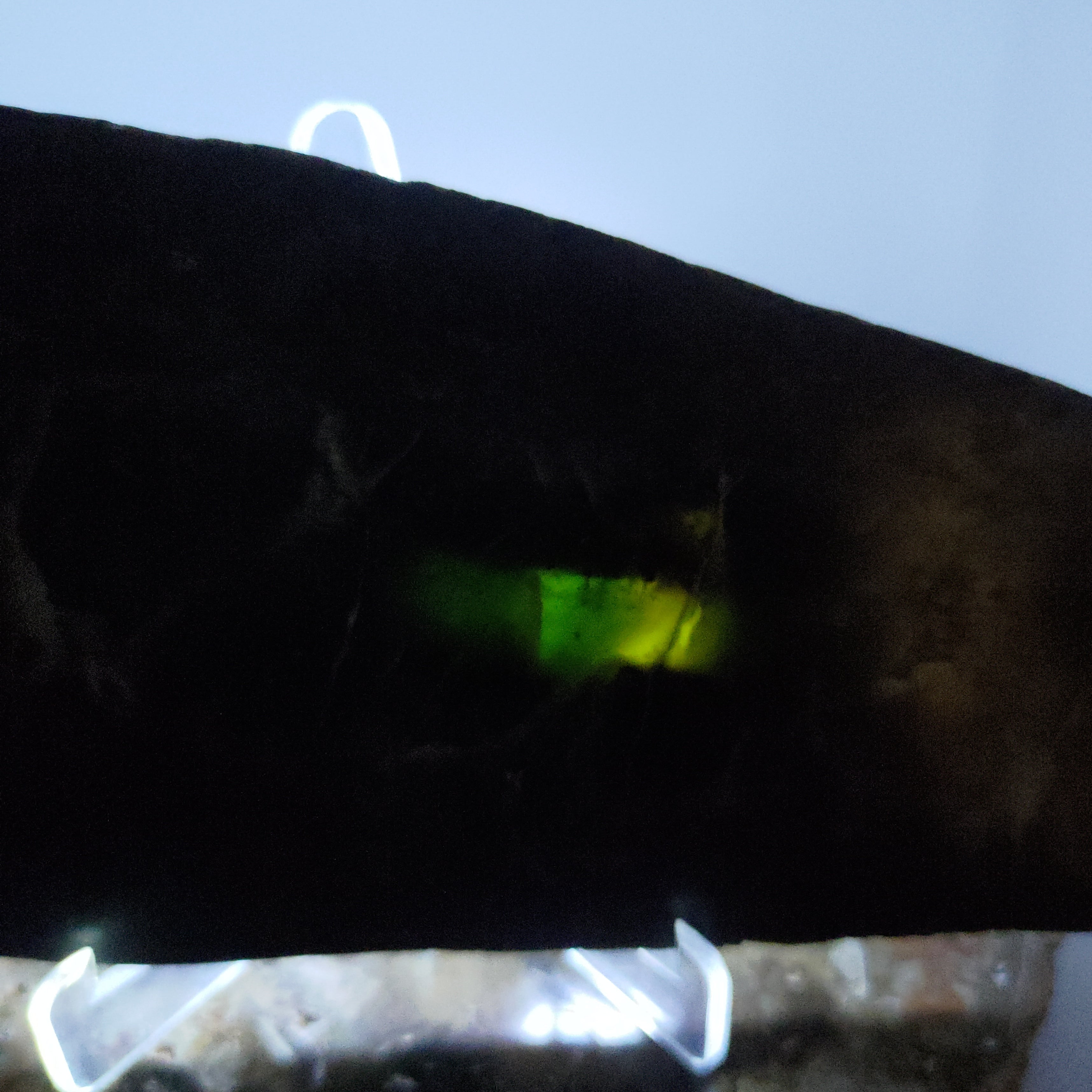 New Zealand Pounamu (Sandwich Jade) Display Slab (XL) Ref 0145