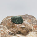 New Zealand flower Pounamu Specimen (Small) Ref: 0146