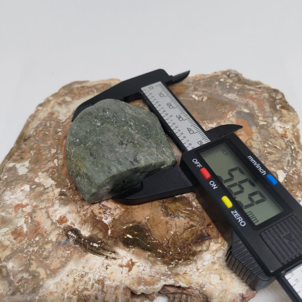 New Zealand Nelson Pounamu Specimen (Small) Ref: 0149