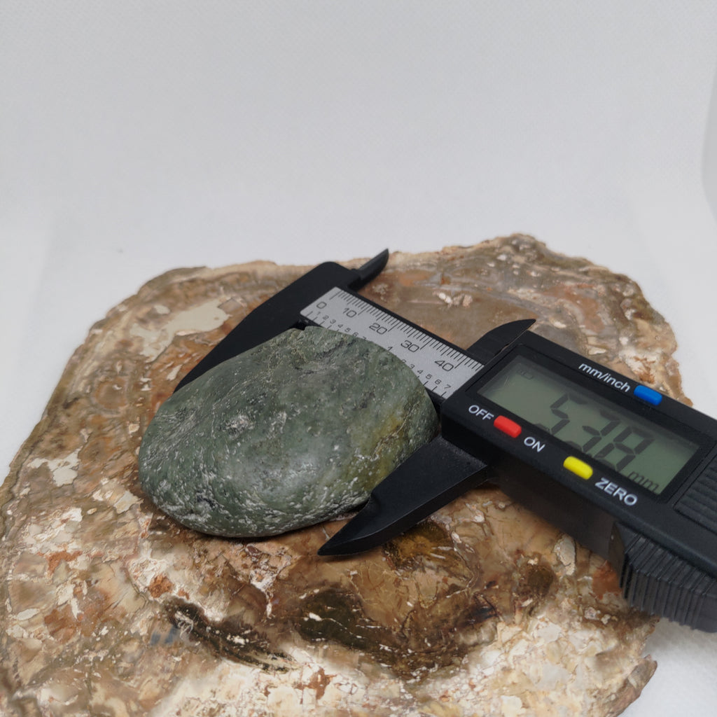 New Zealand Nelson Pounamu Specimen (Small) Ref: 0149