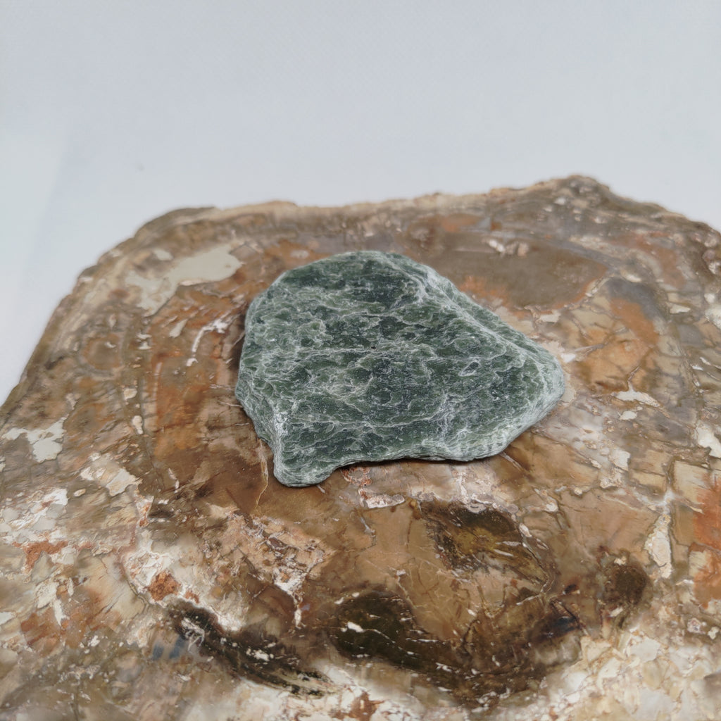 New Zealand Silver Flower Pounamu Specimen (Small) Ref: 0150