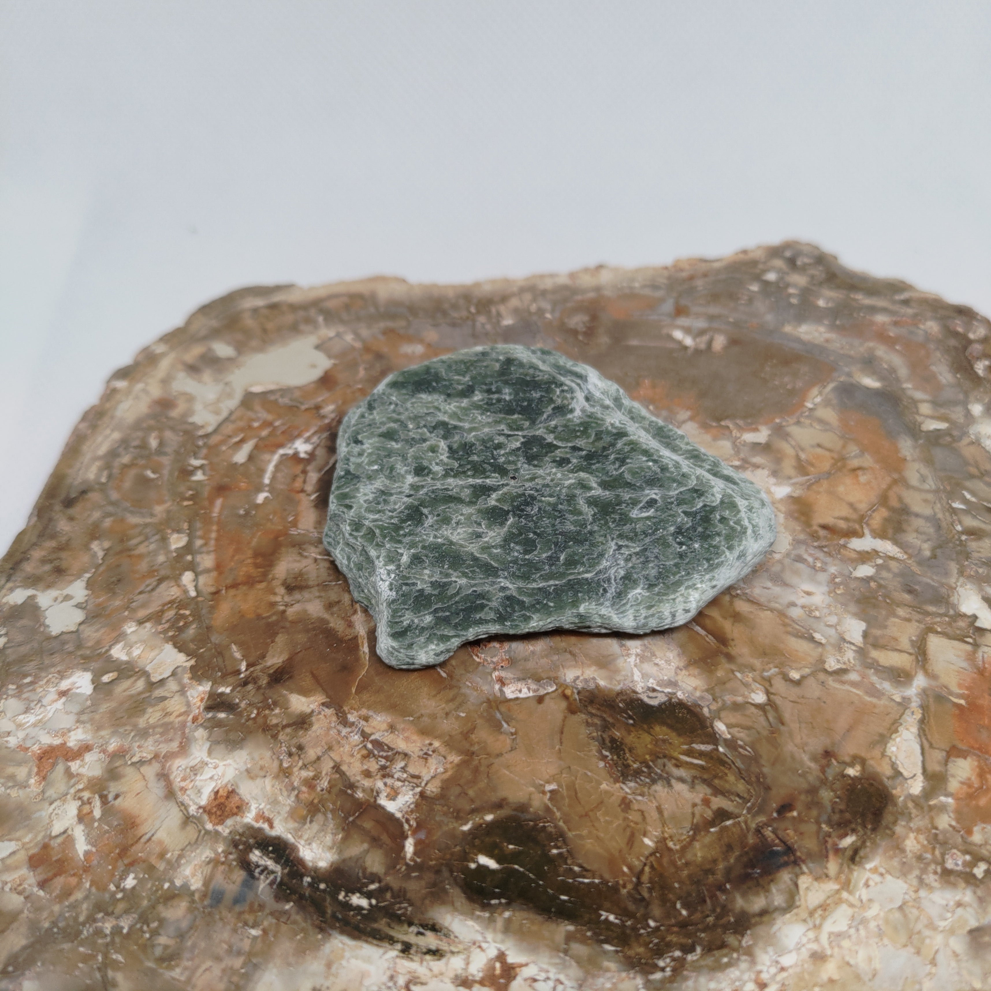 New Zealand Silver Flower Pounamu Specimen (Small) Ref: 0150