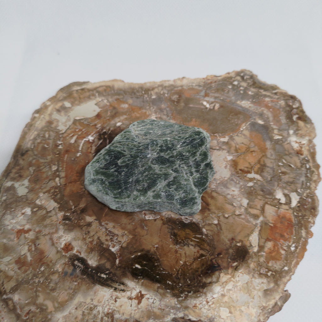 New Zealand Silver Flower Pounamu Specimen (Small) Ref: 0150
