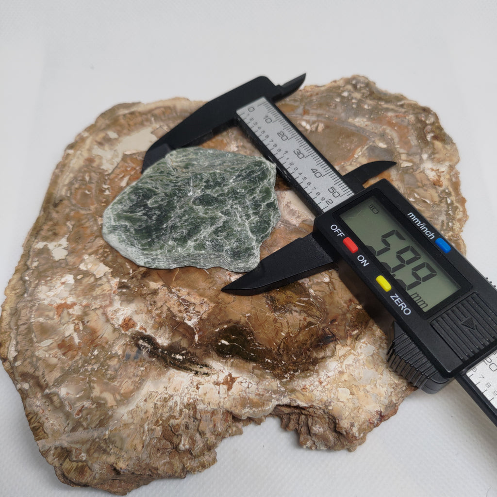 New Zealand Silver Flower Pounamu Specimen (Small) Ref: 0150