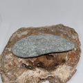New Zealand Pounamu Specimen Ref: 0151
