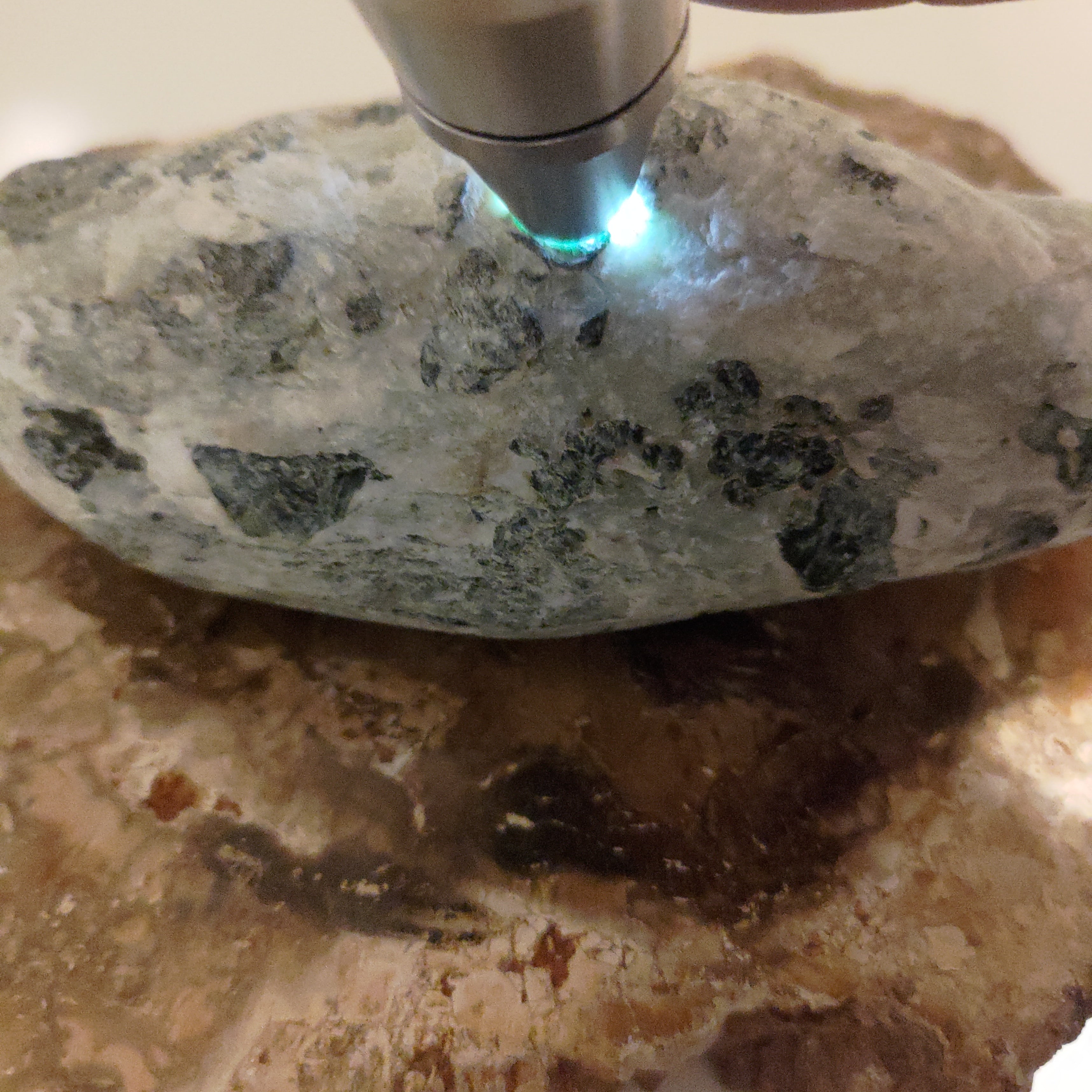 New Zealand Pounamu Specimen Ref: 0152