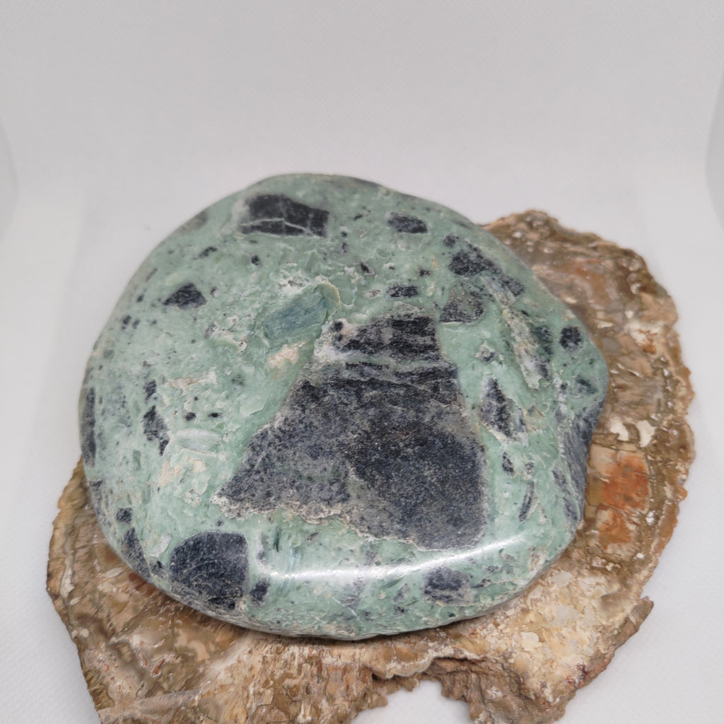 New Zealand Pounamu Specimen High Shine Polish On One Side Ref: 0153
