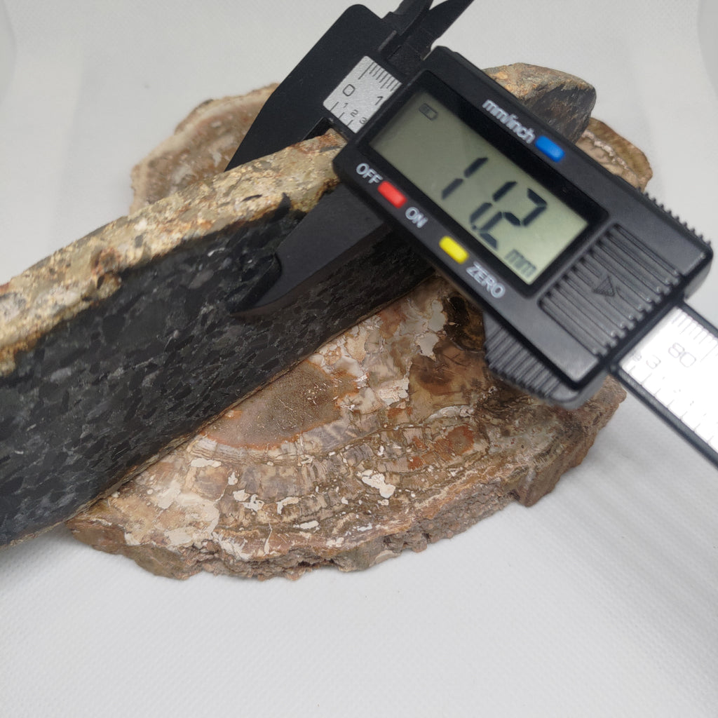 Hand Made New Zealand Conglomerate Stone Display Slab Ref: 0156