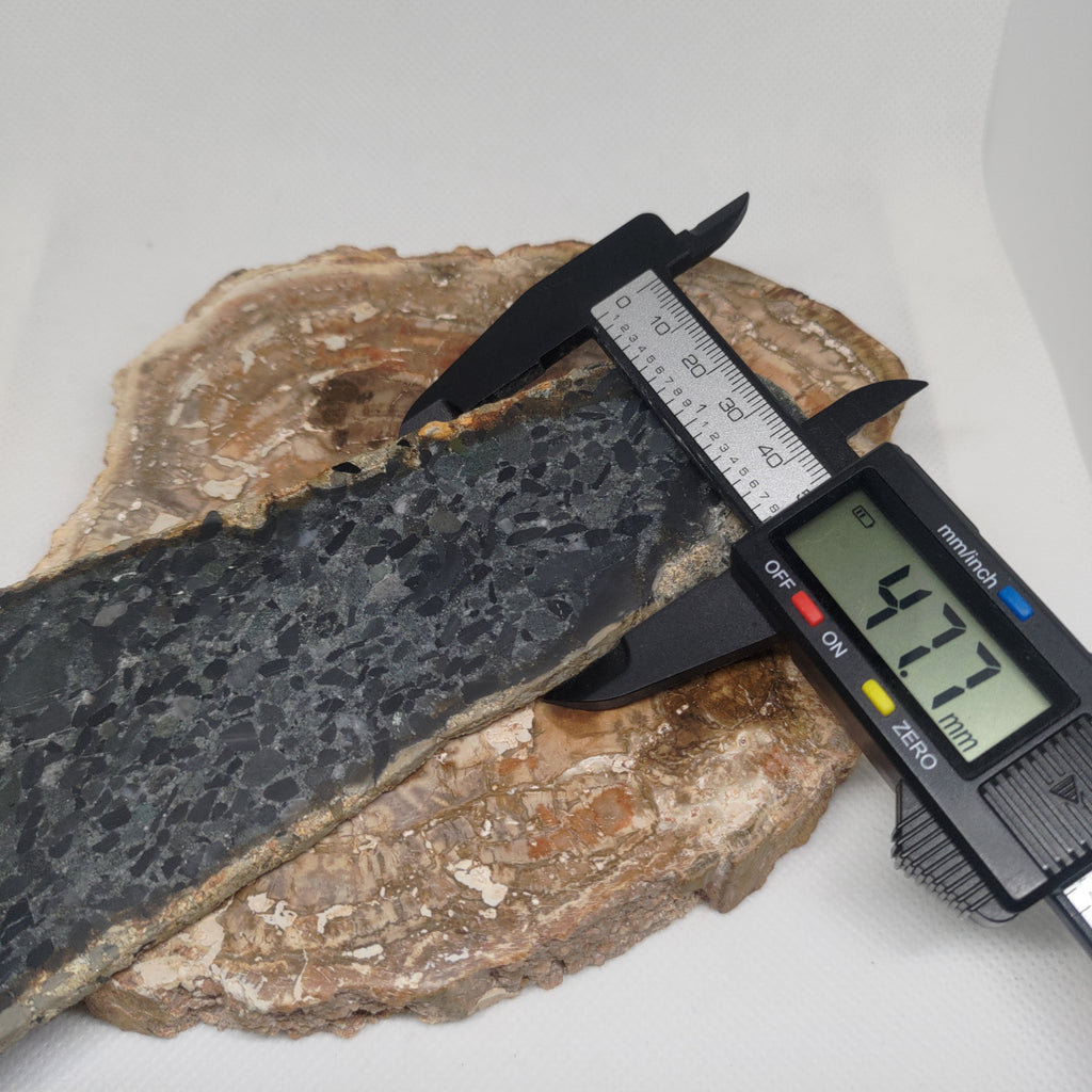 Hand Made New Zealand Conglomerate Stone Display Slab Ref: 0156