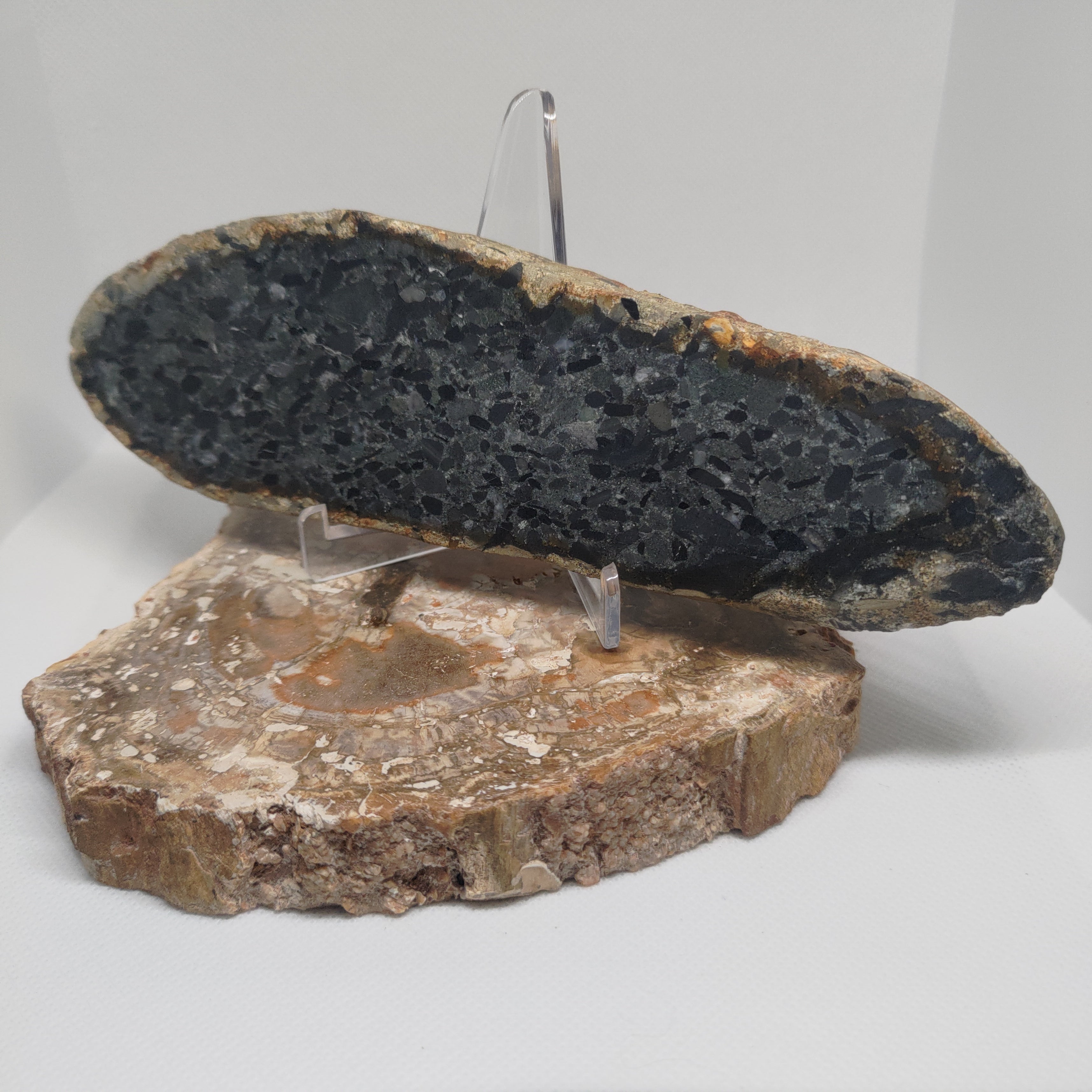 Hand Made New Zealand Conglomerate Stone Display Slab Ref: 0156