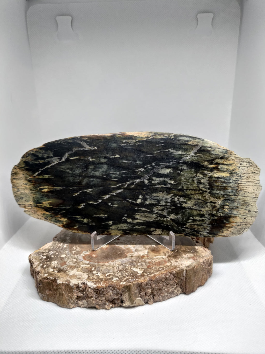 New Zealand Pounamu Display Slab Ref: 0157