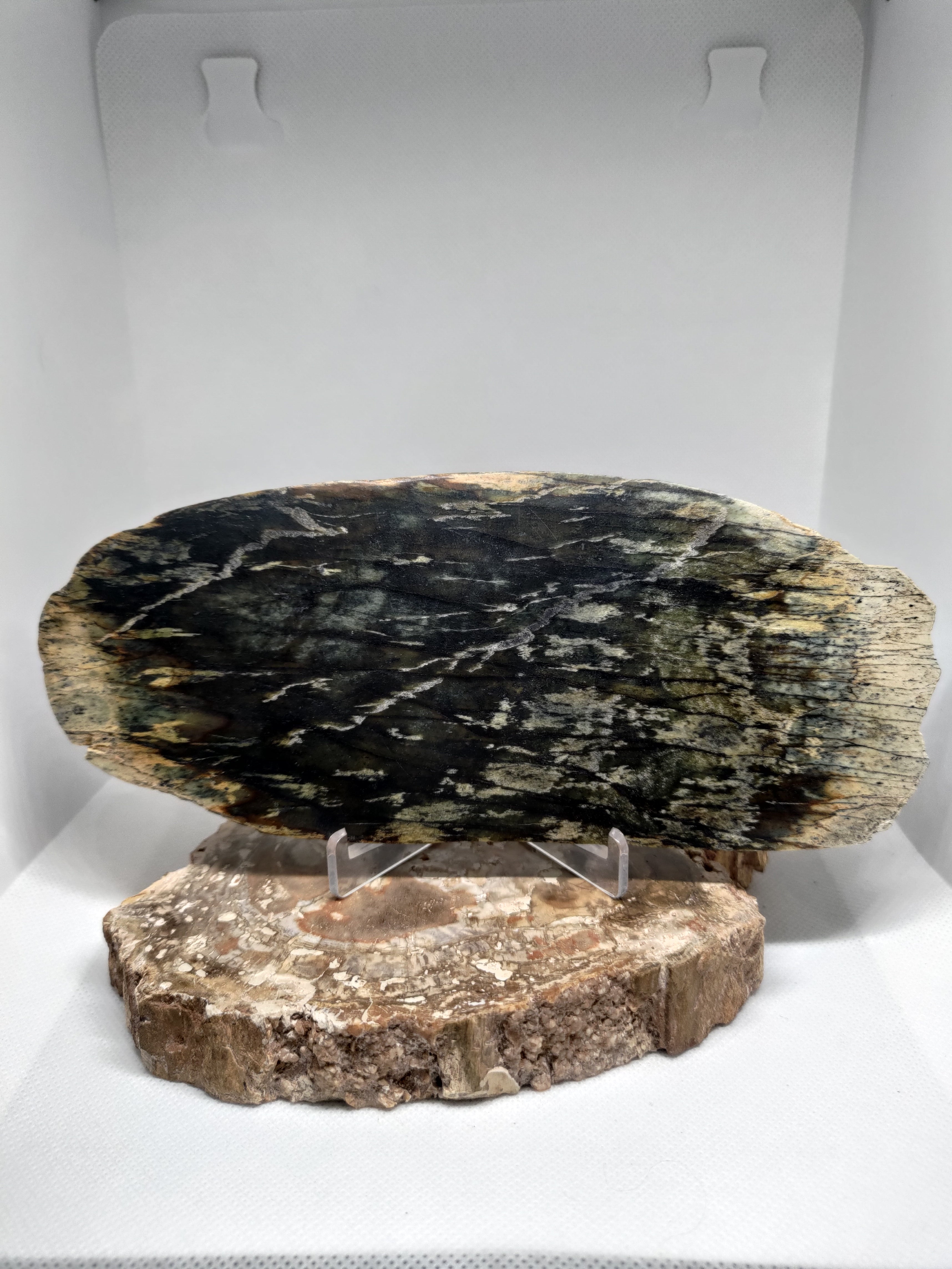 New Zealand Pounamu Display Slab Ref: 0157
