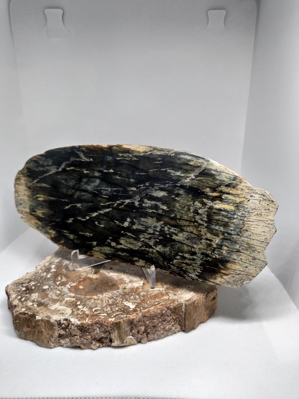 New Zealand Pounamu Display Slab Ref: 0157