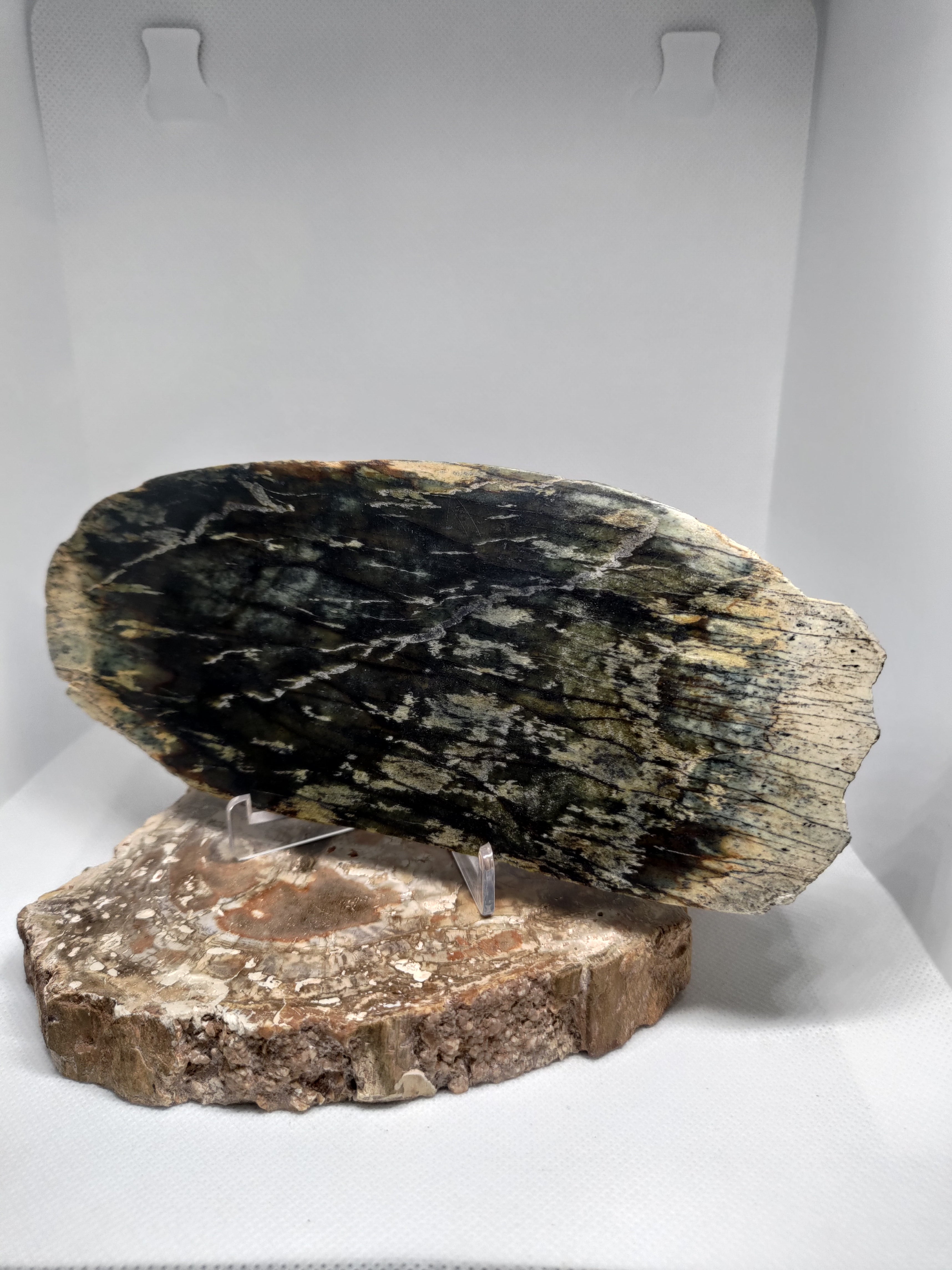 New Zealand Pounamu Display Slab Ref: 0157