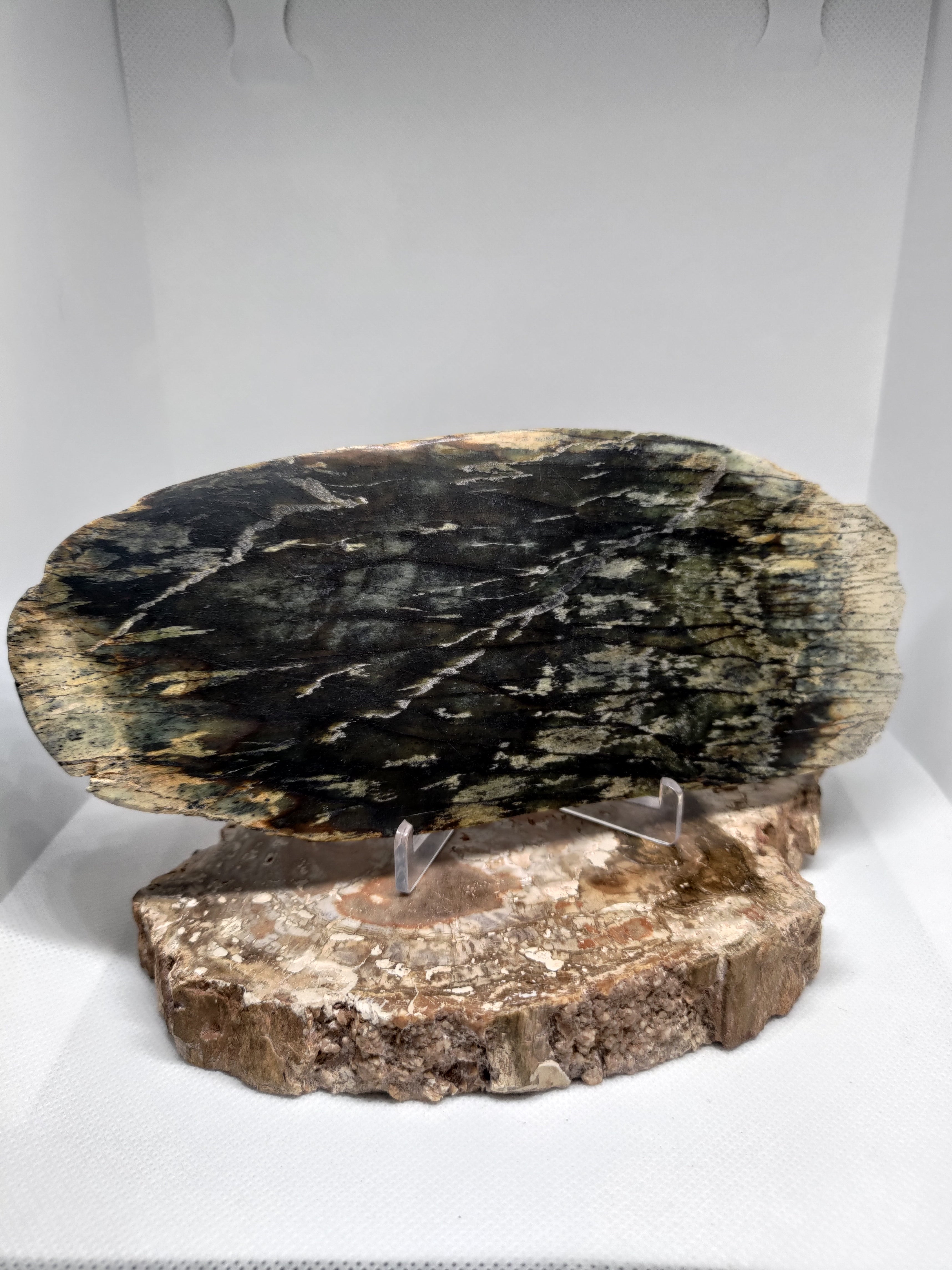 New Zealand Pounamu Display Slab Ref: 0157