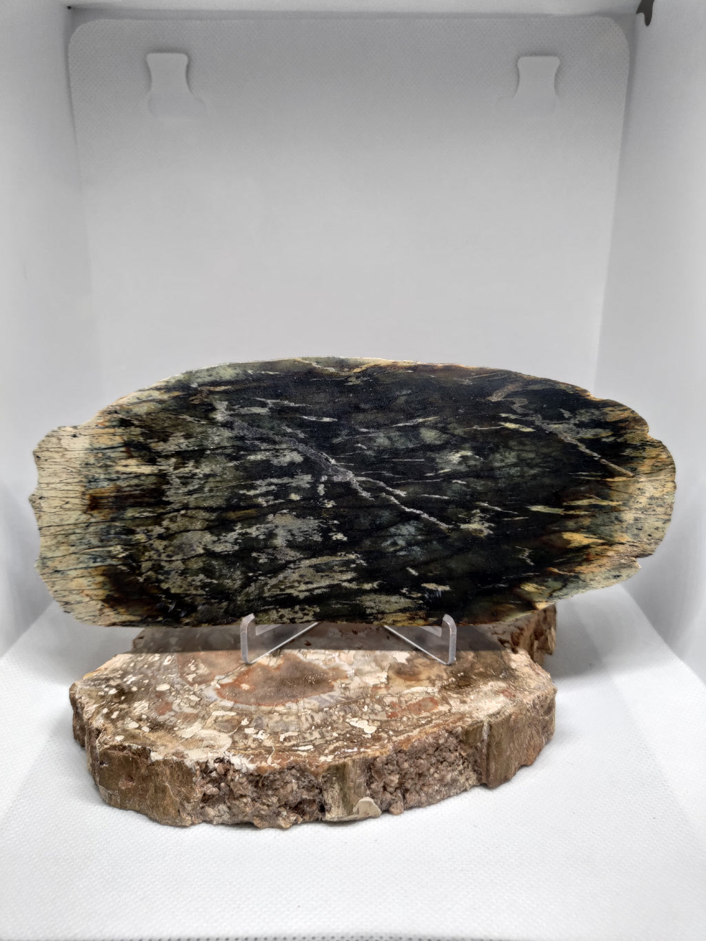 New Zealand Pounamu Display Slab Ref: 0157