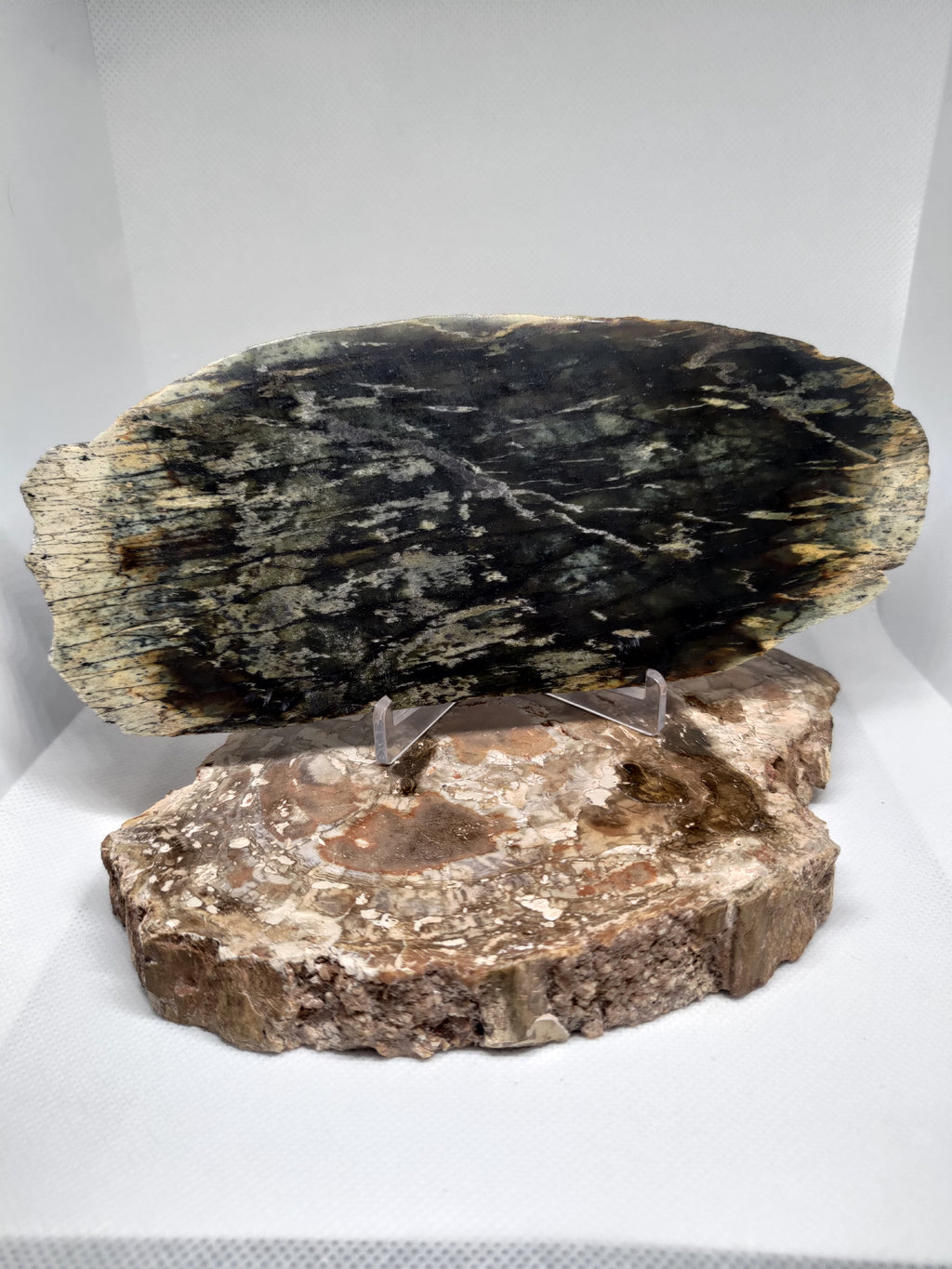 New Zealand Pounamu Display Slab Ref: 0157