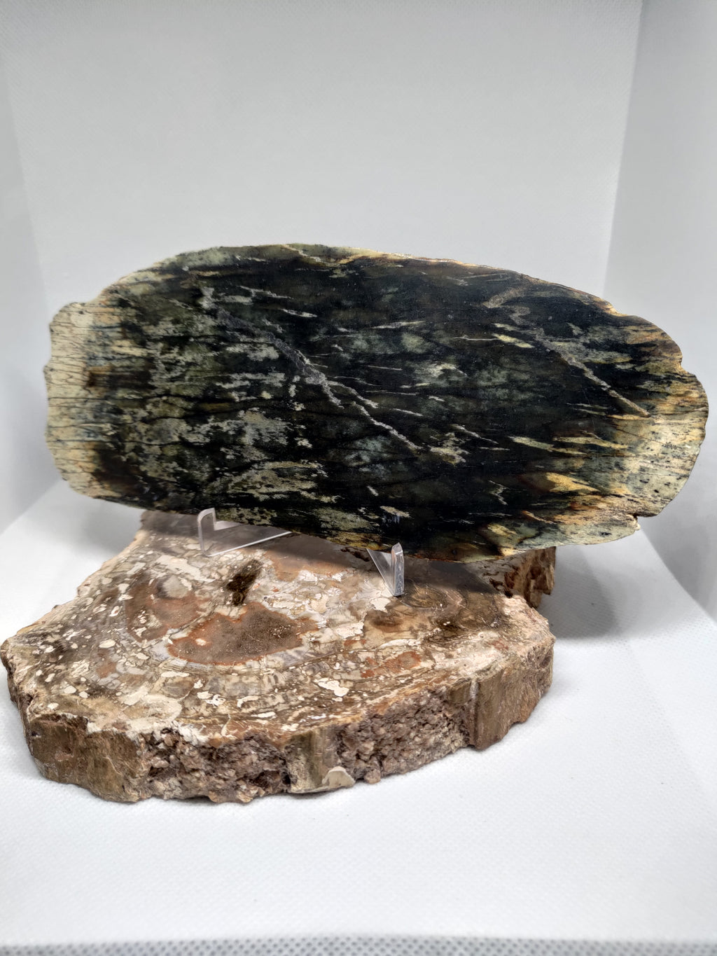 New Zealand Pounamu Display Slab Ref: 0157