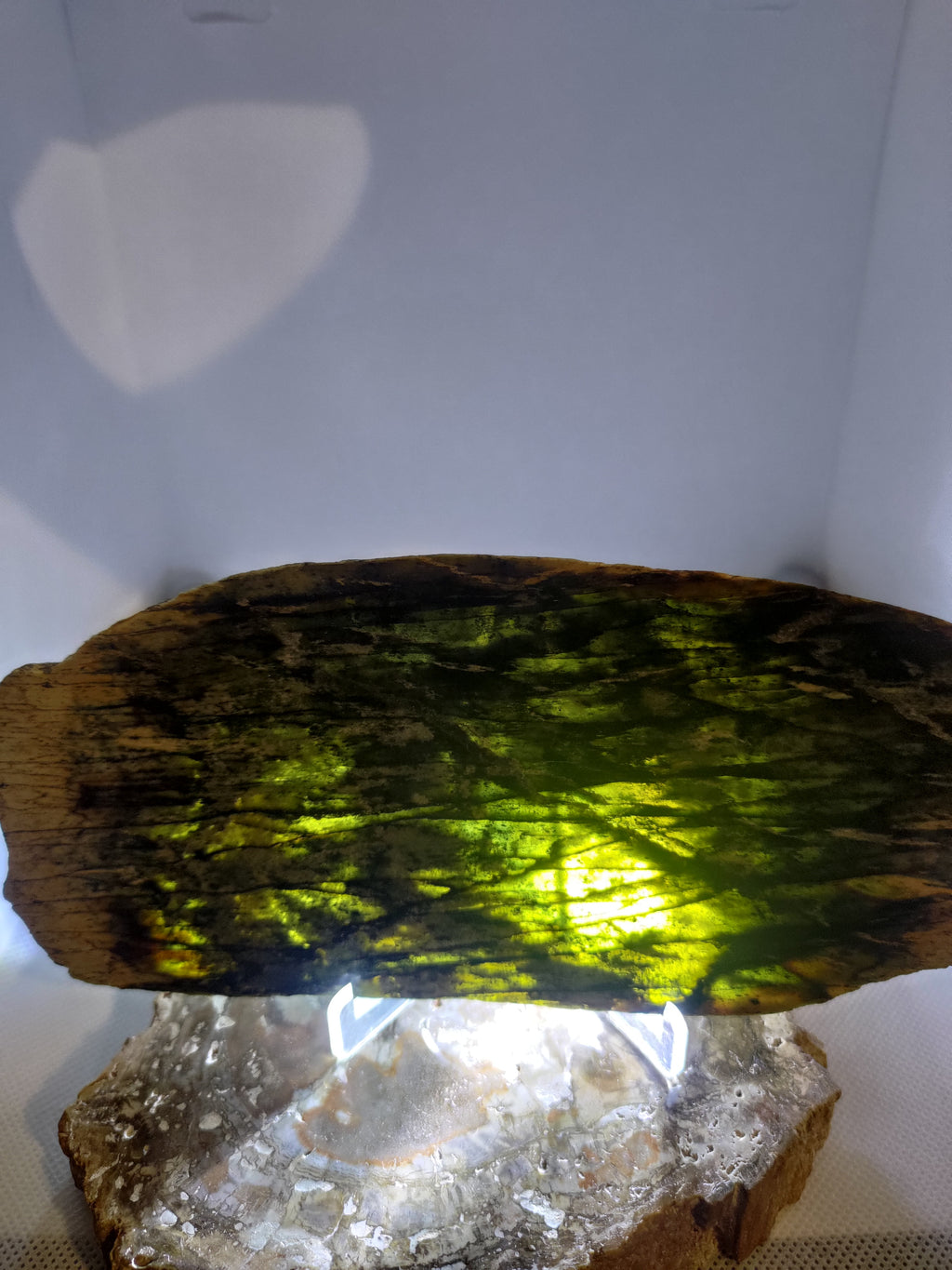 New Zealand Pounamu Display Slab Ref: 0157