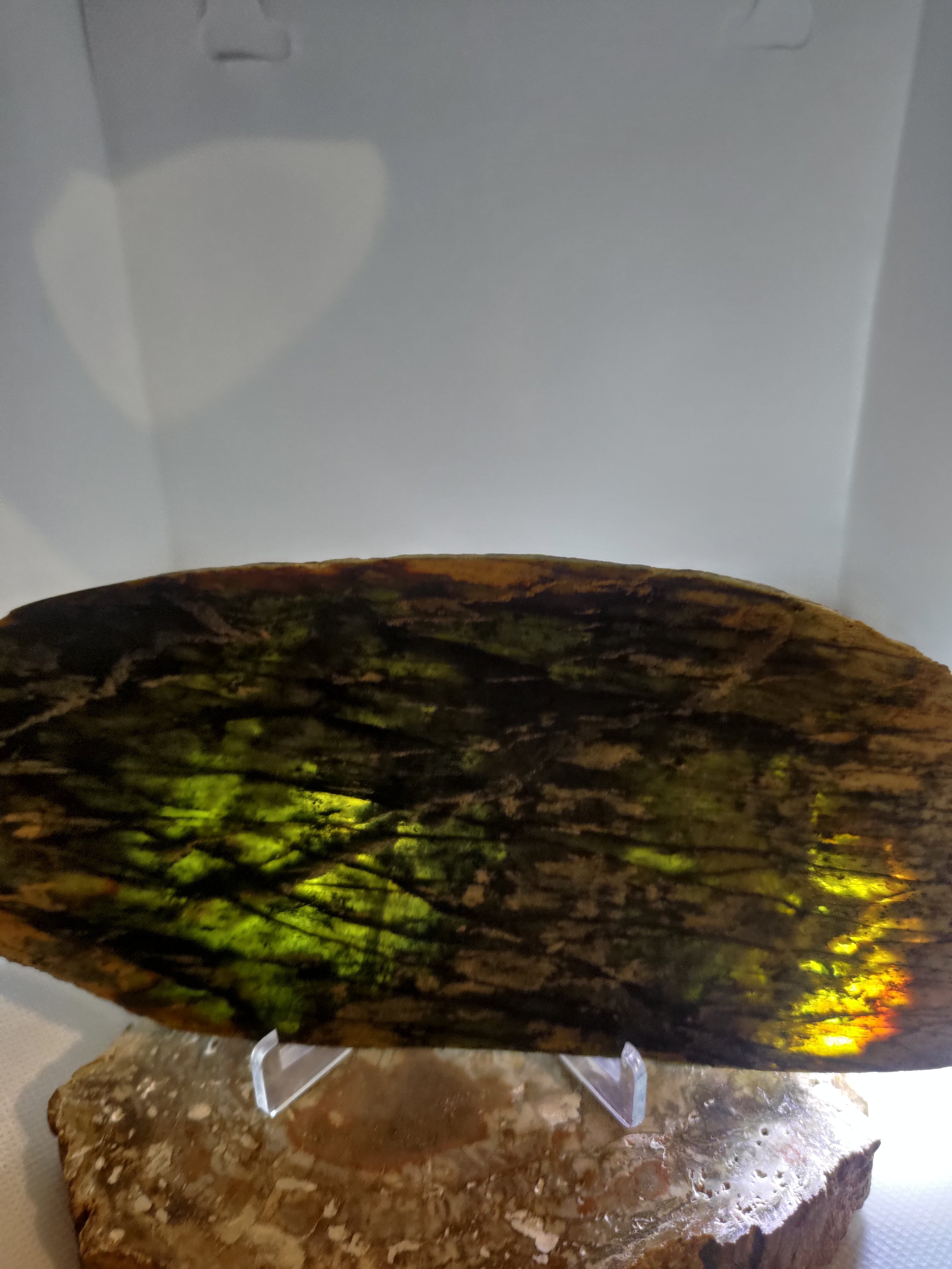 New Zealand Pounamu Display Slab Ref: 0157