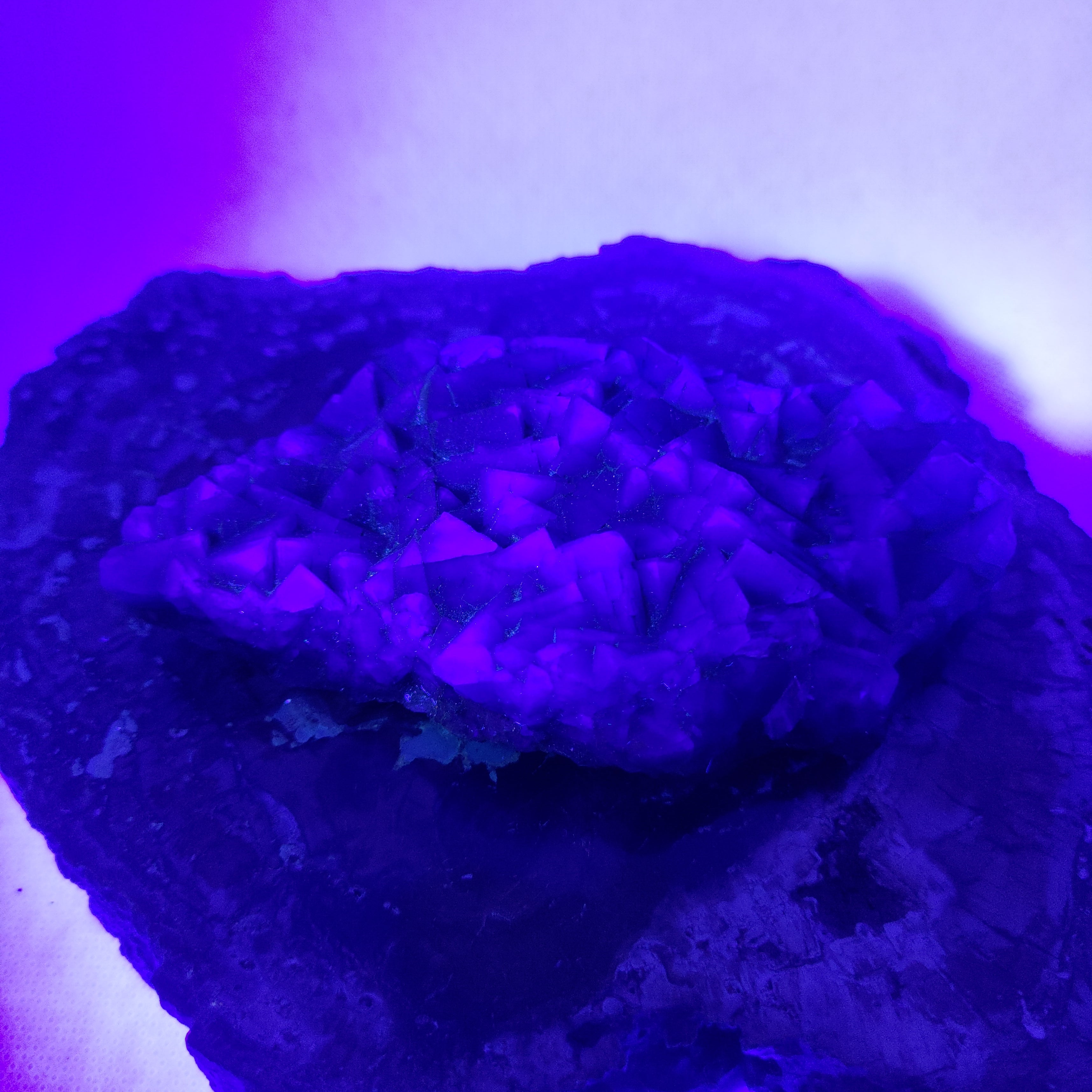 Natural Purple Cubic Fluorite Specimen Ref: 0159