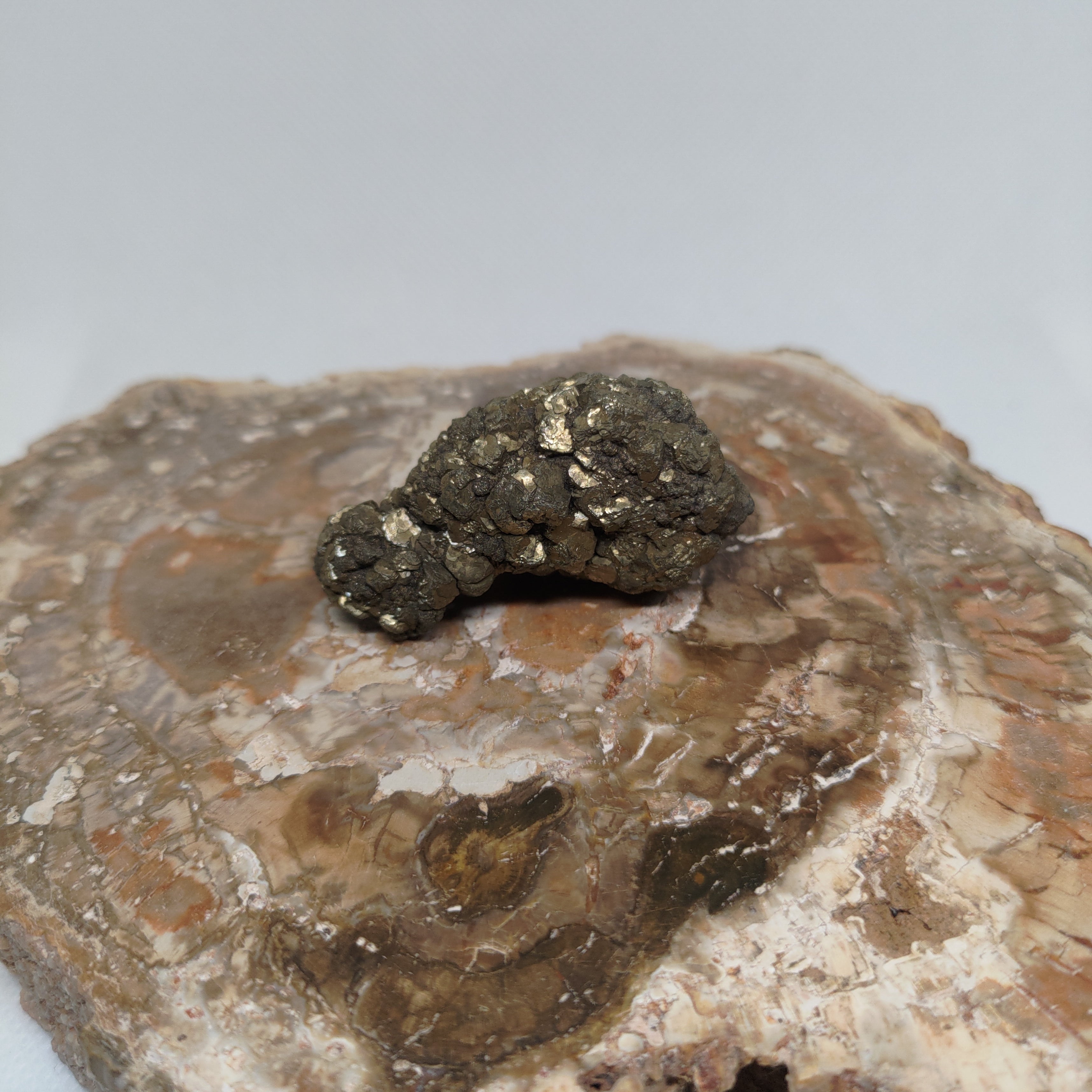 Natural Botryoidal and Microcrystalline Pyrite Cluster Specimen from Pakistan Ref: 0160