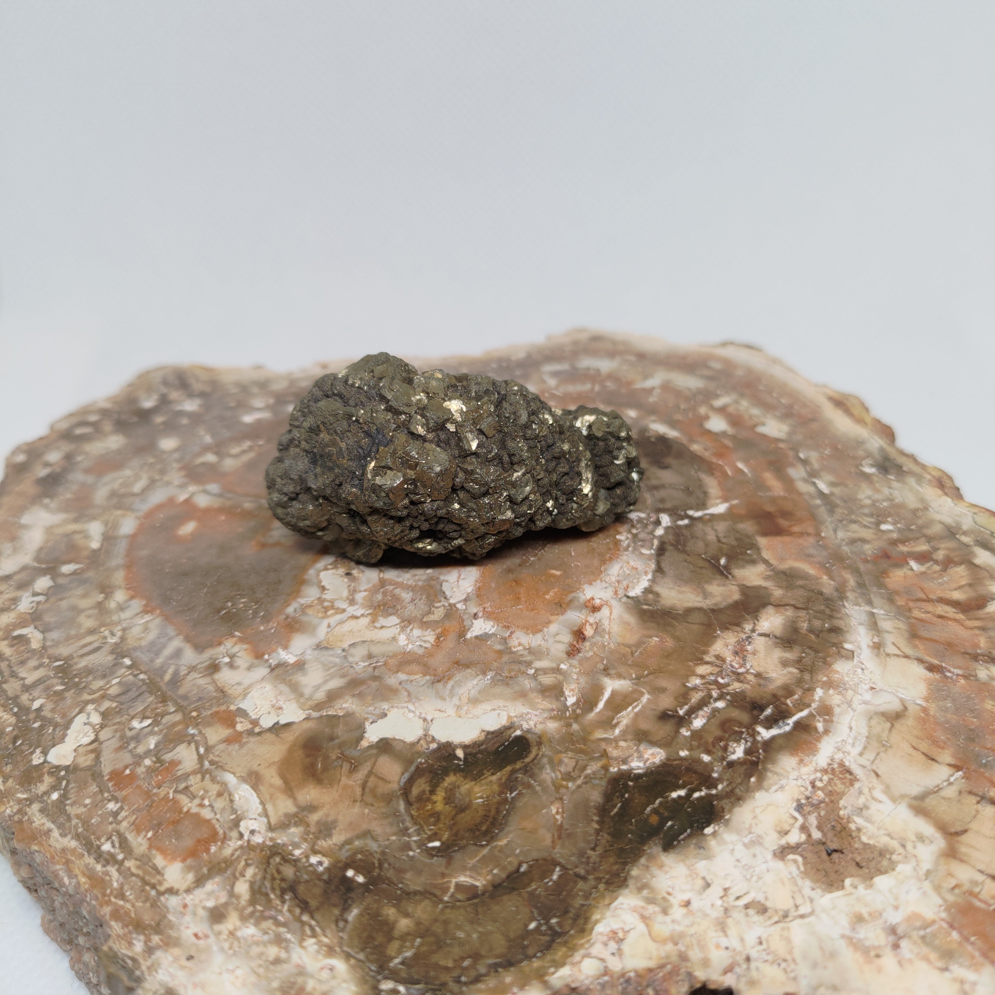 Natural Botryoidal and Microcrystalline Pyrite Cluster Specimen from Pakistan Ref: 0160