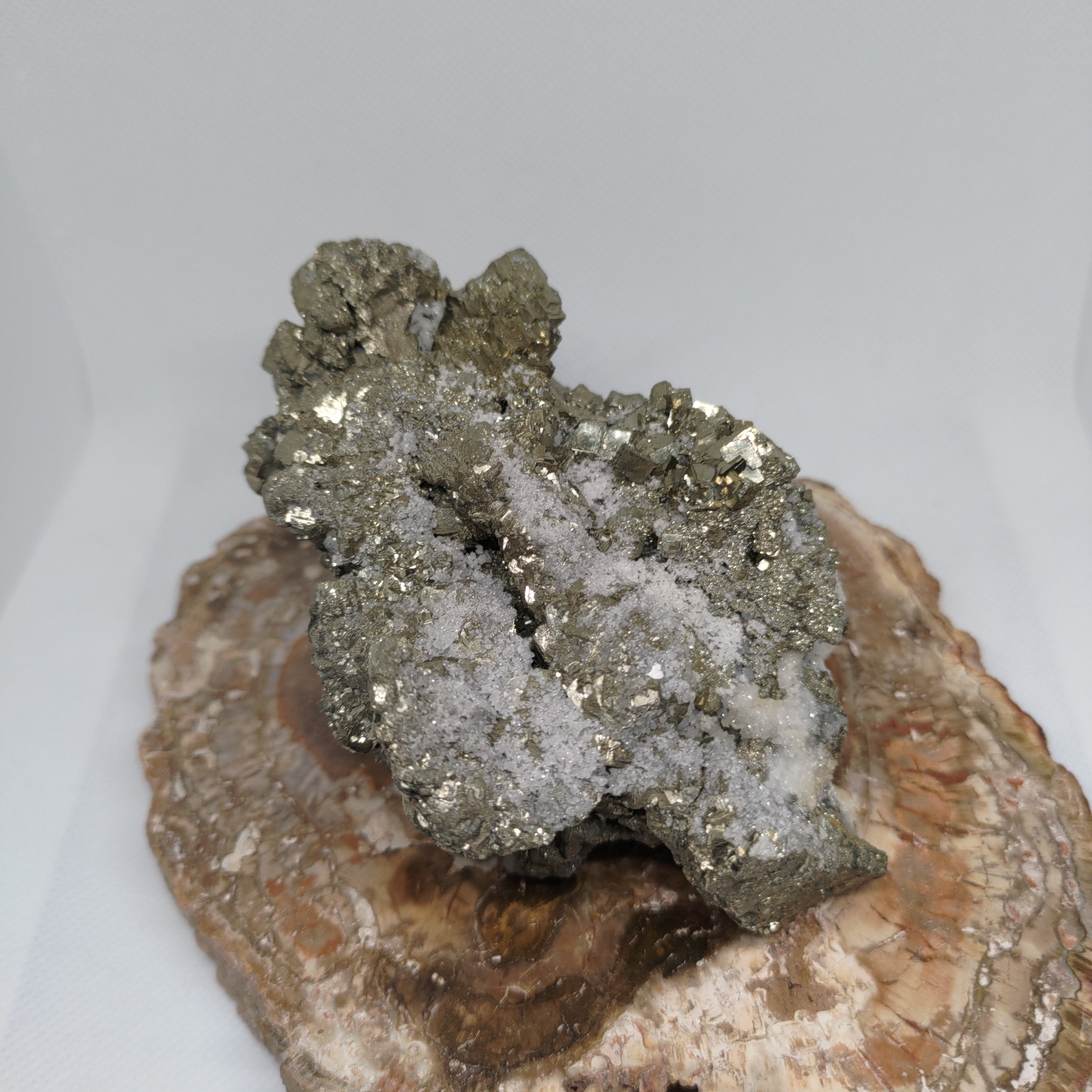 Cubic Pyrite Crystal Cluster on White Quartz Matrix Specimen Ref: 0162