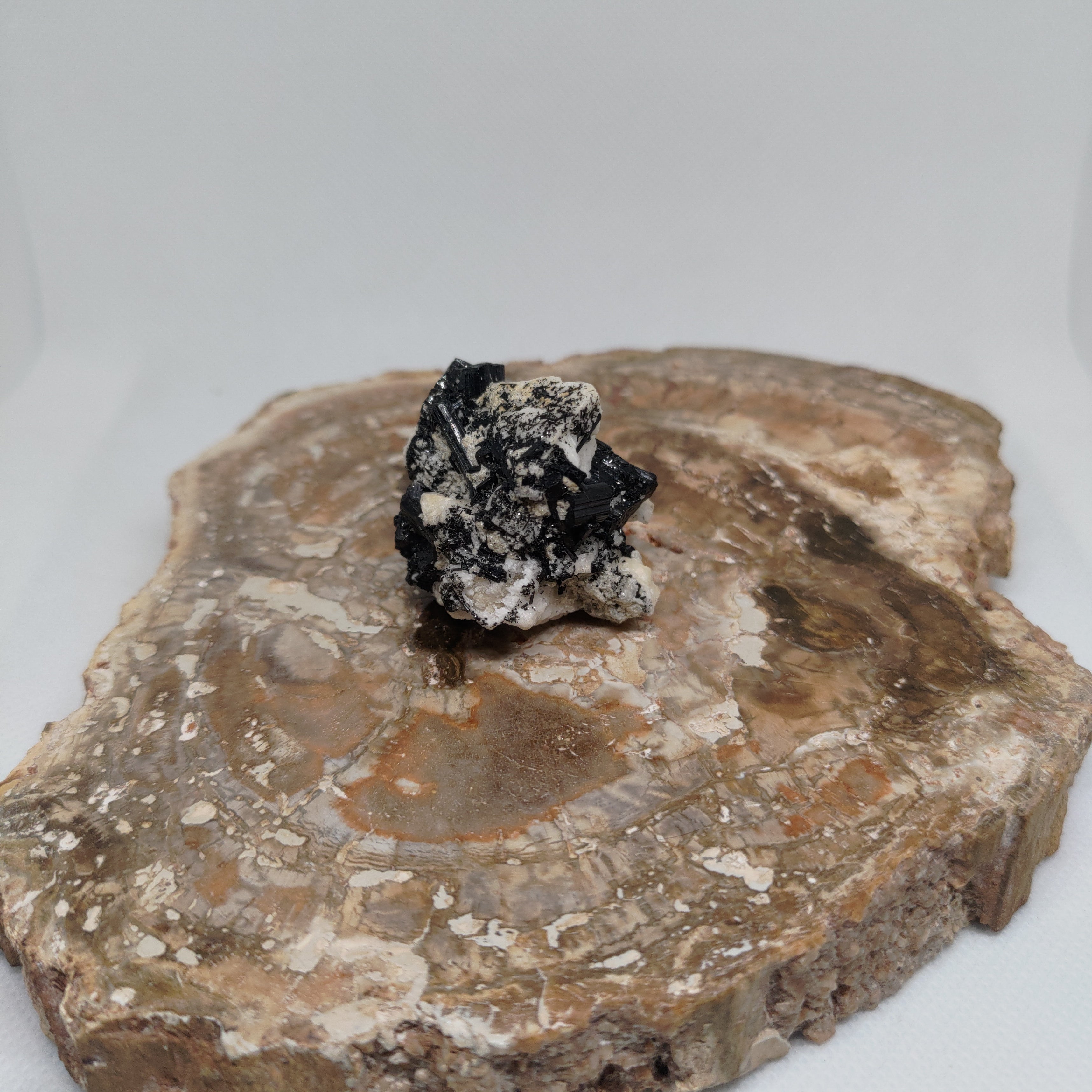 Pakistani Black Tourmaline on Albite Specimen Ref: 0164