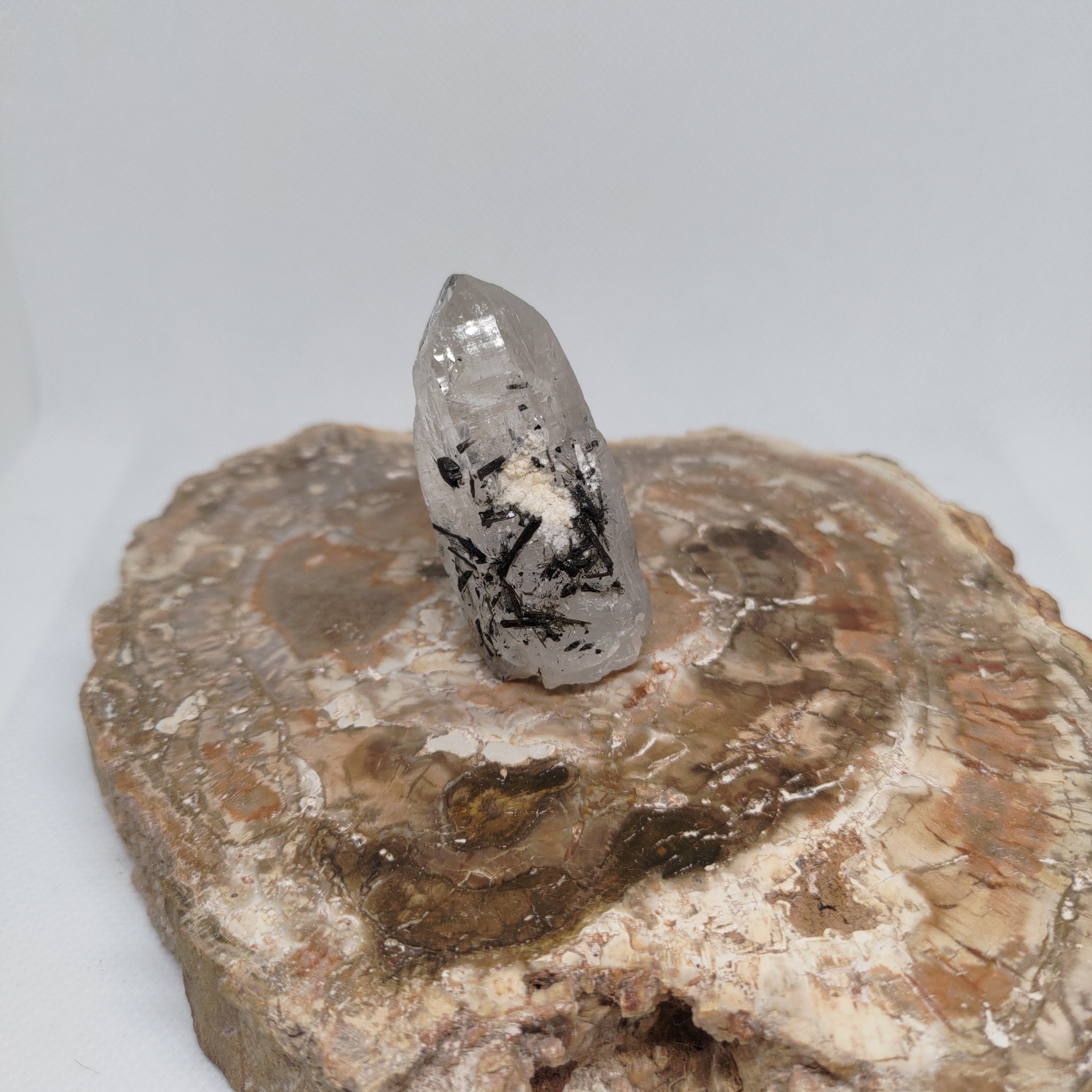 Tourmalinated Quartz Specimen from Pakistan Ref: 0165
