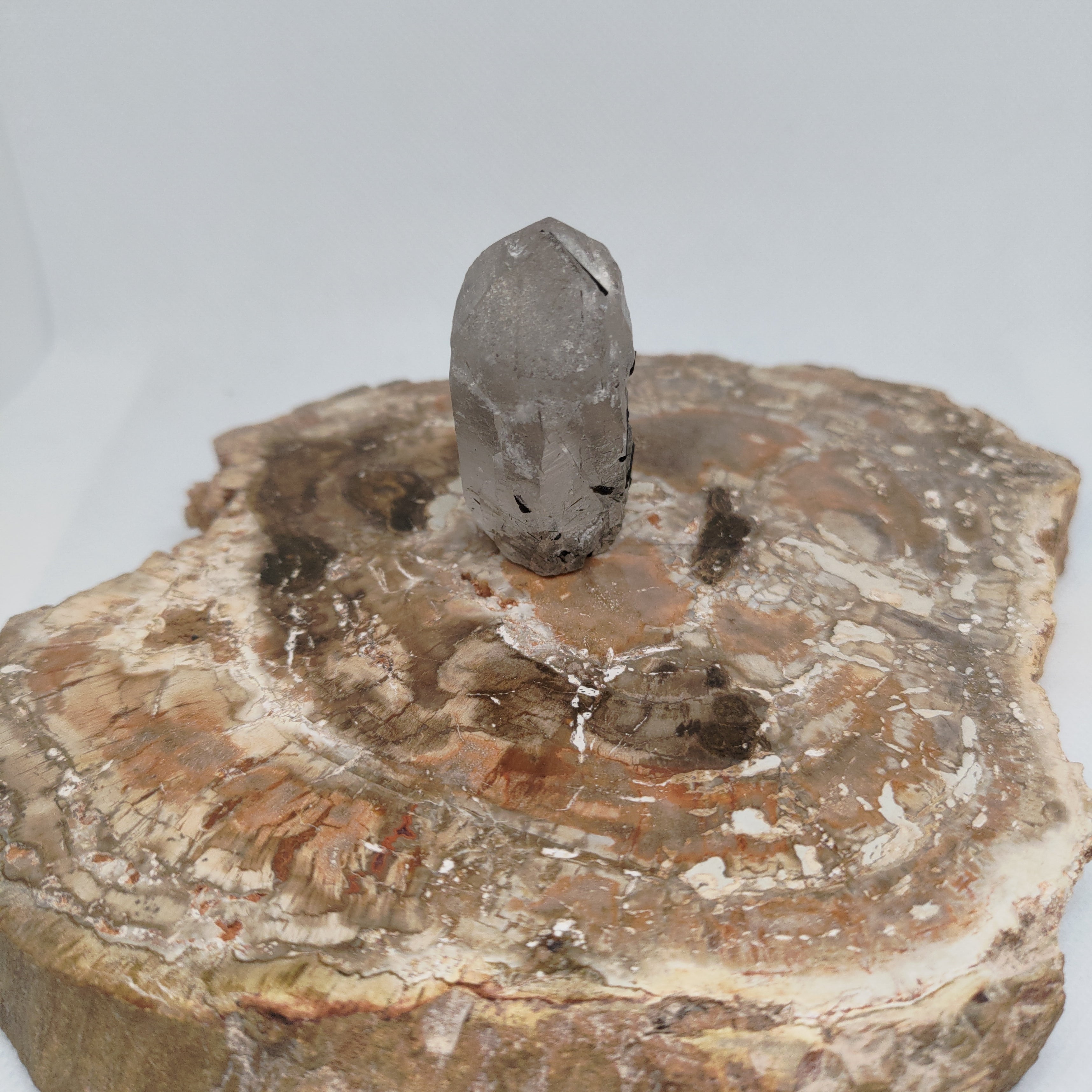 Tourmalinated Quartz Specimen from Pakistan Ref: 0165