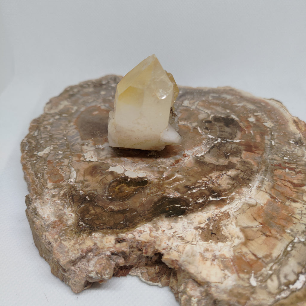 Natural Citrine Specimen from Pakistan Ref: 0167