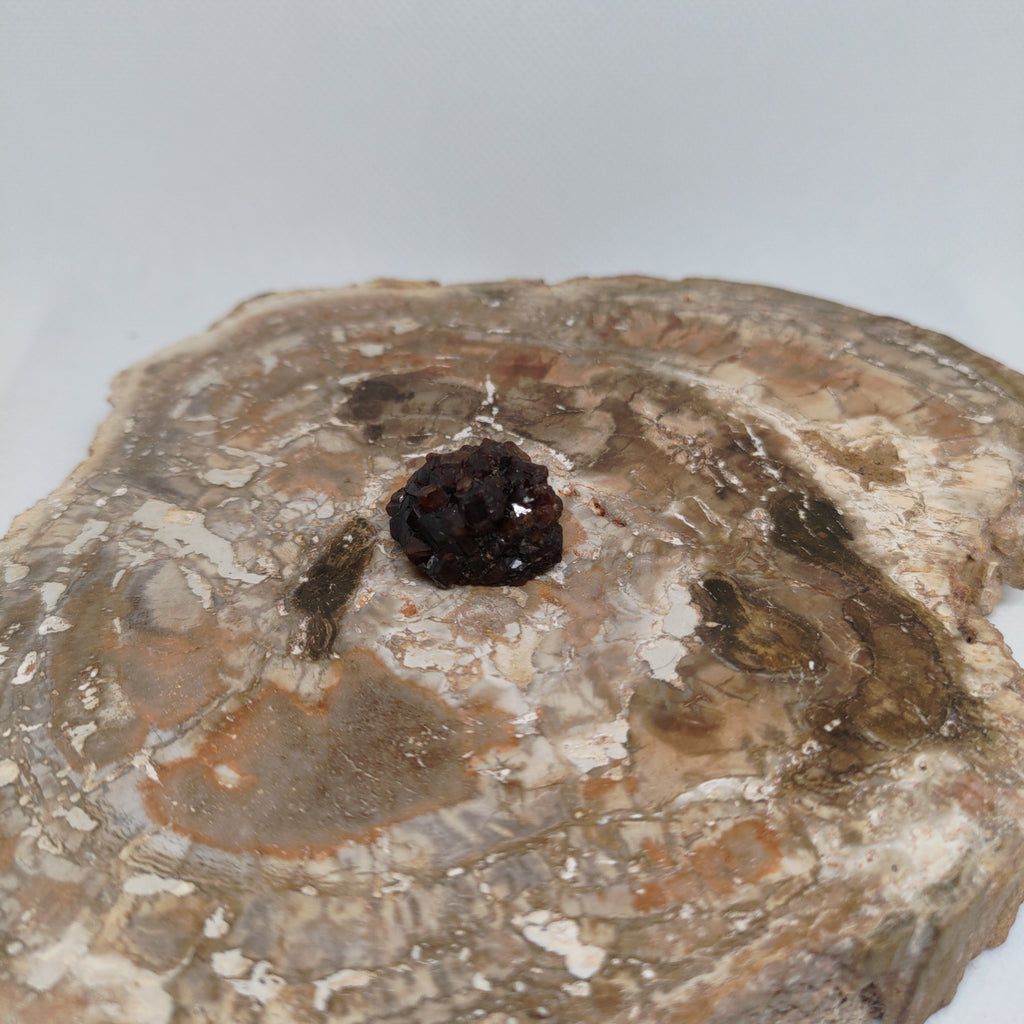 Andradite Garnet Crystal Cluster Specimen from Pakistan Ref: 0169